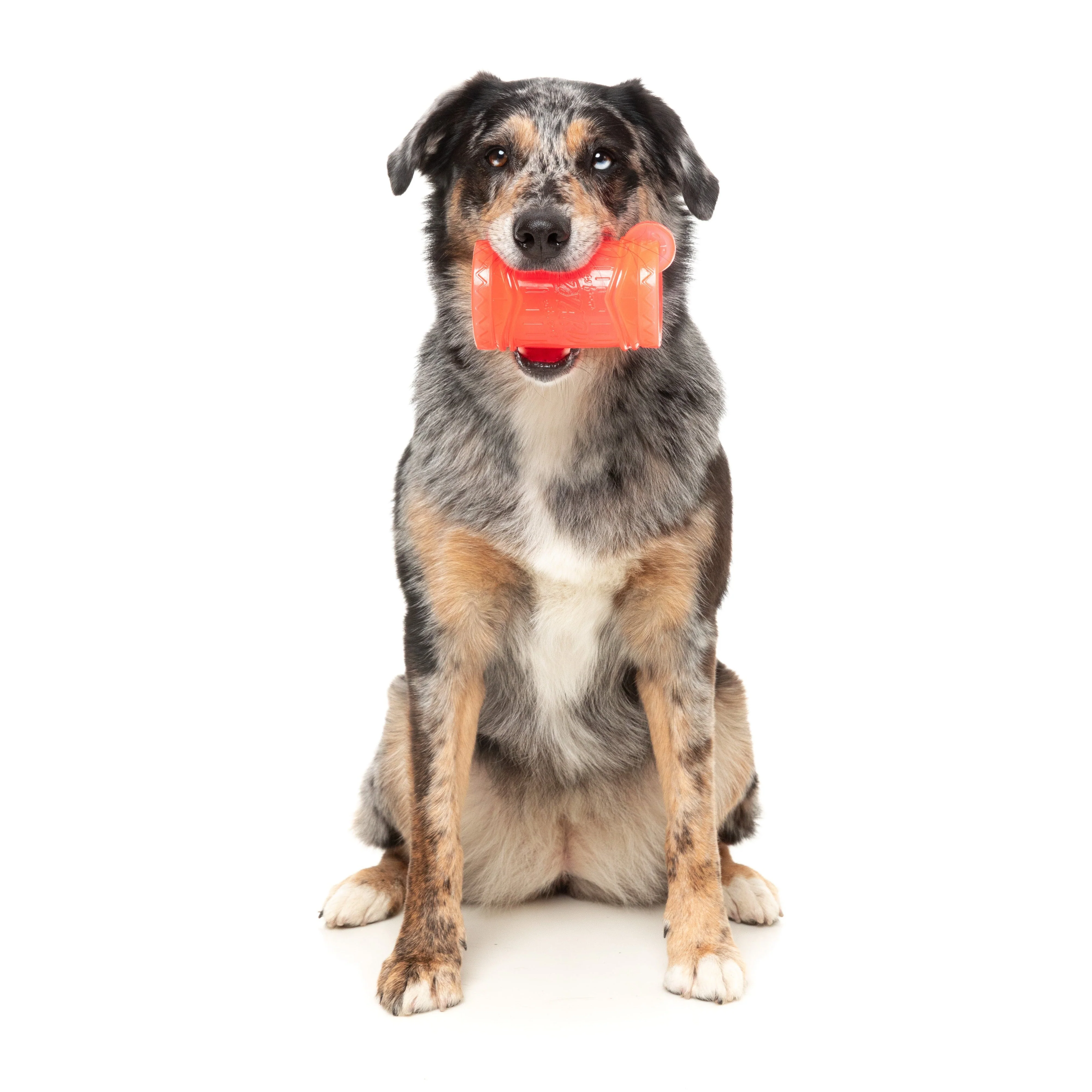 Fuzzyard Dog Toy Pina Coolada Freeze - Image 4
