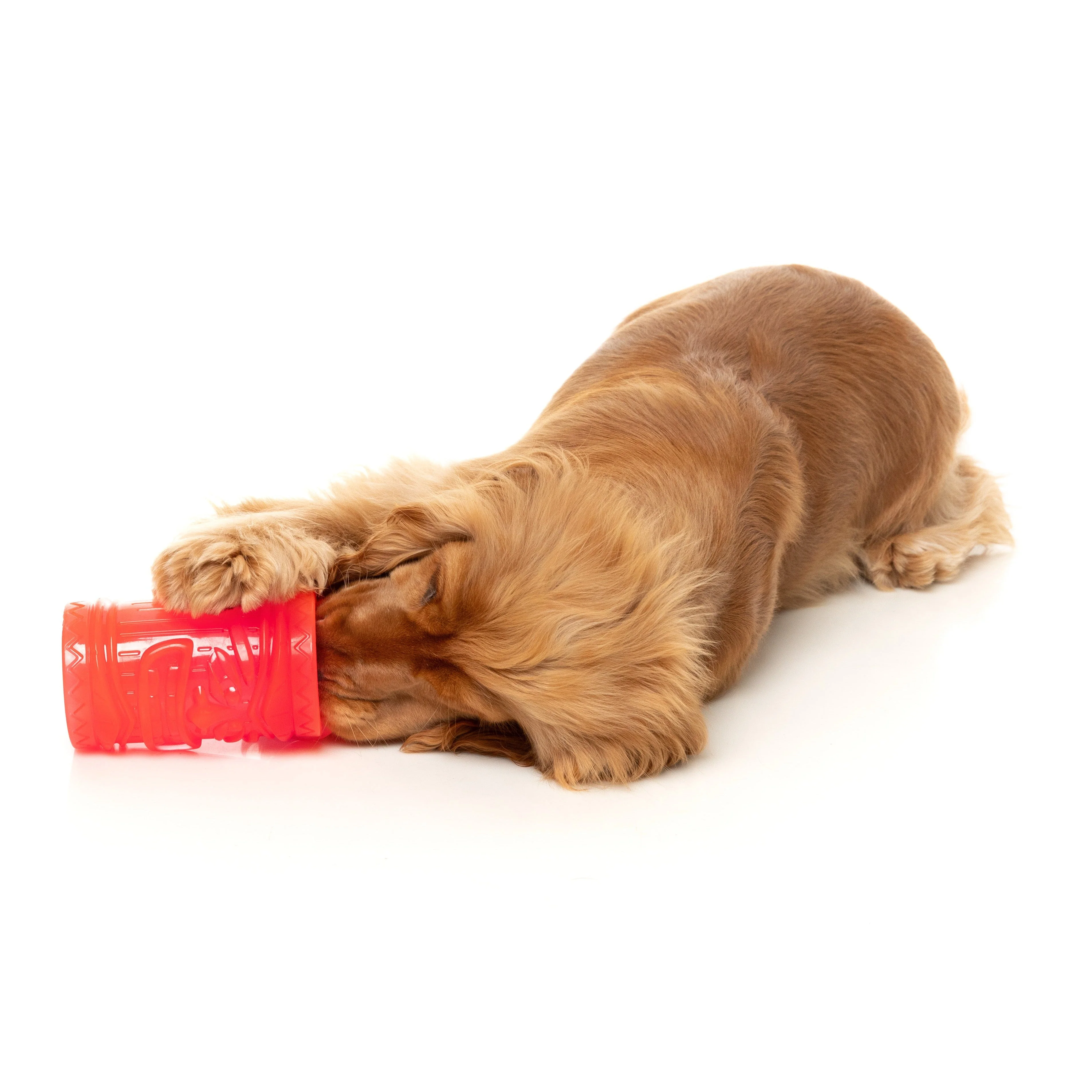 Fuzzyard Dog Toy Pina Coolada Freeze - Image 5