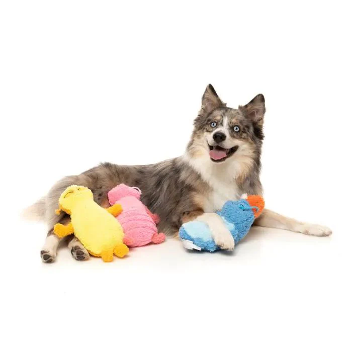 FuzzYard Dog Toy Rolly the Blue Bed Bug - Image 3