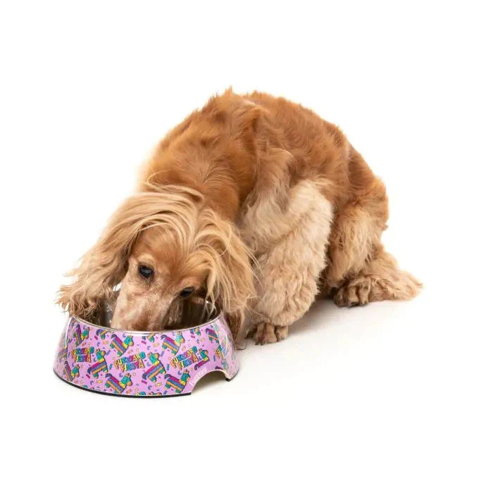 FuzzYard Fiesta Dog Bowl Small - Image 2