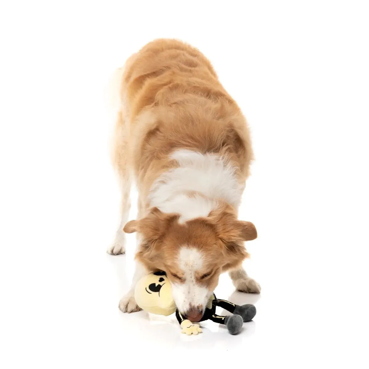 Fuzzyard Halloween Arthur-itis Dog Toy *** - Image 3