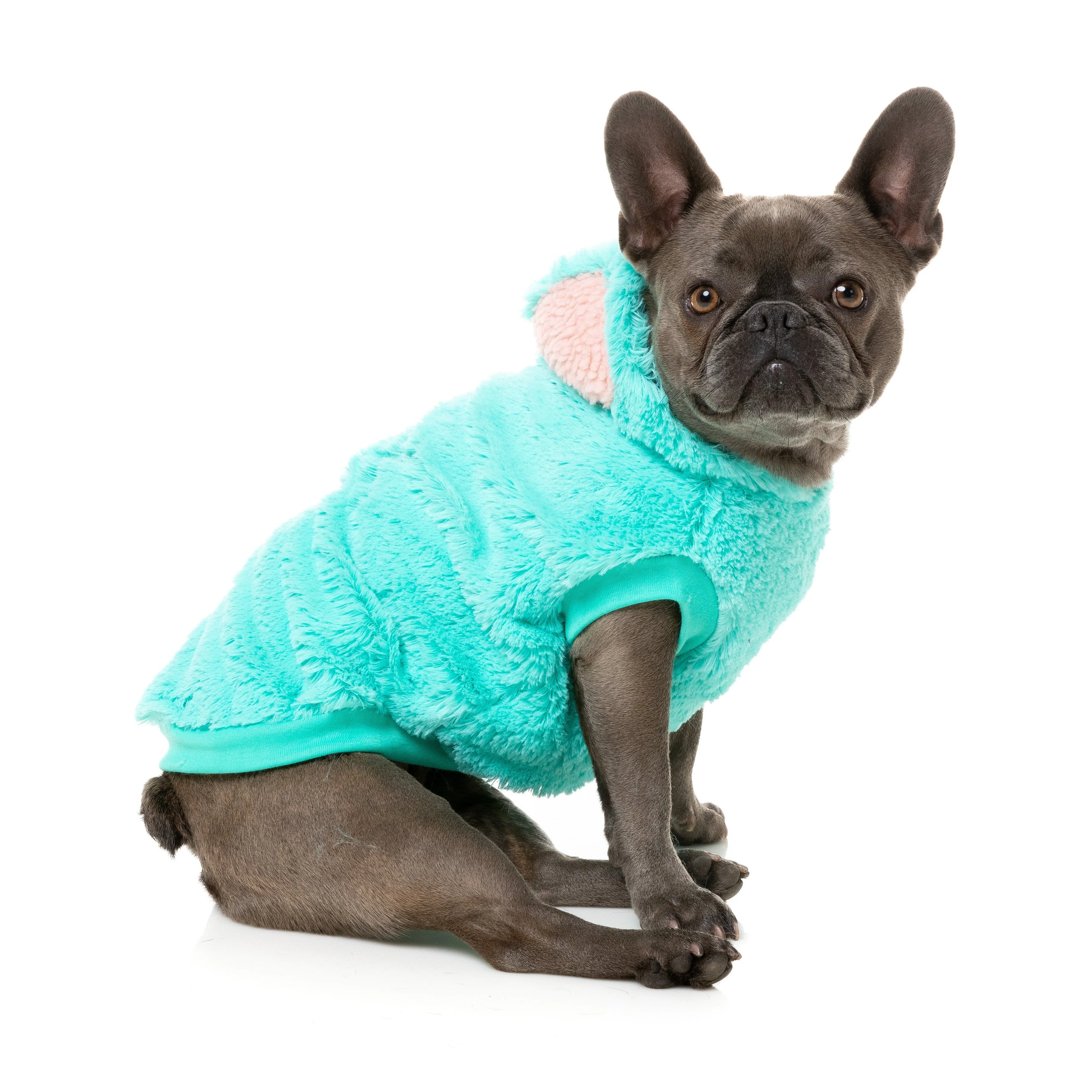 FuzzYard Halloween Dog Apparel Cerebella the Zombie Size 4*** - Image 4