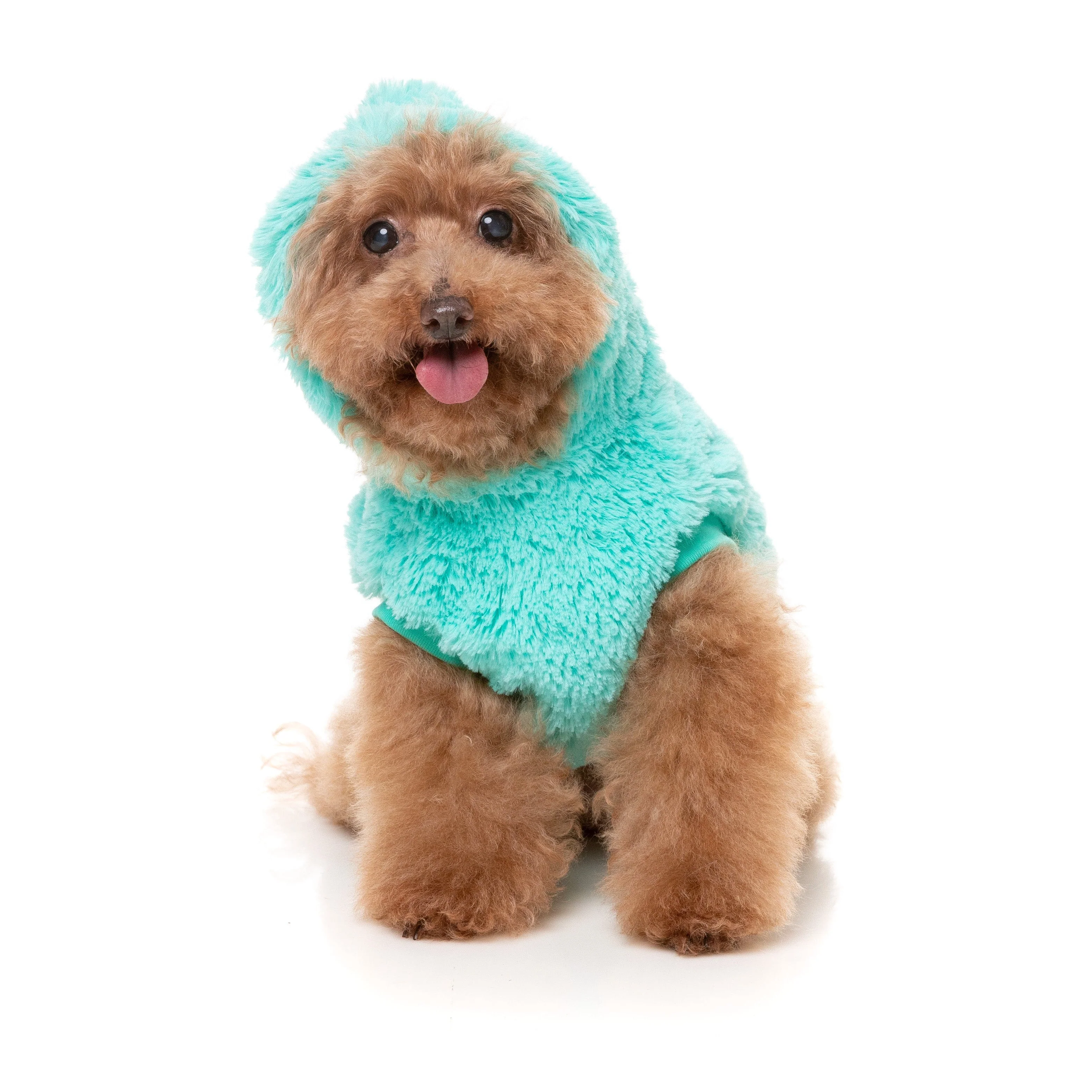 FuzzYard Halloween Dog Apparel Cerebella the Zombie Size 4*** - Image 5