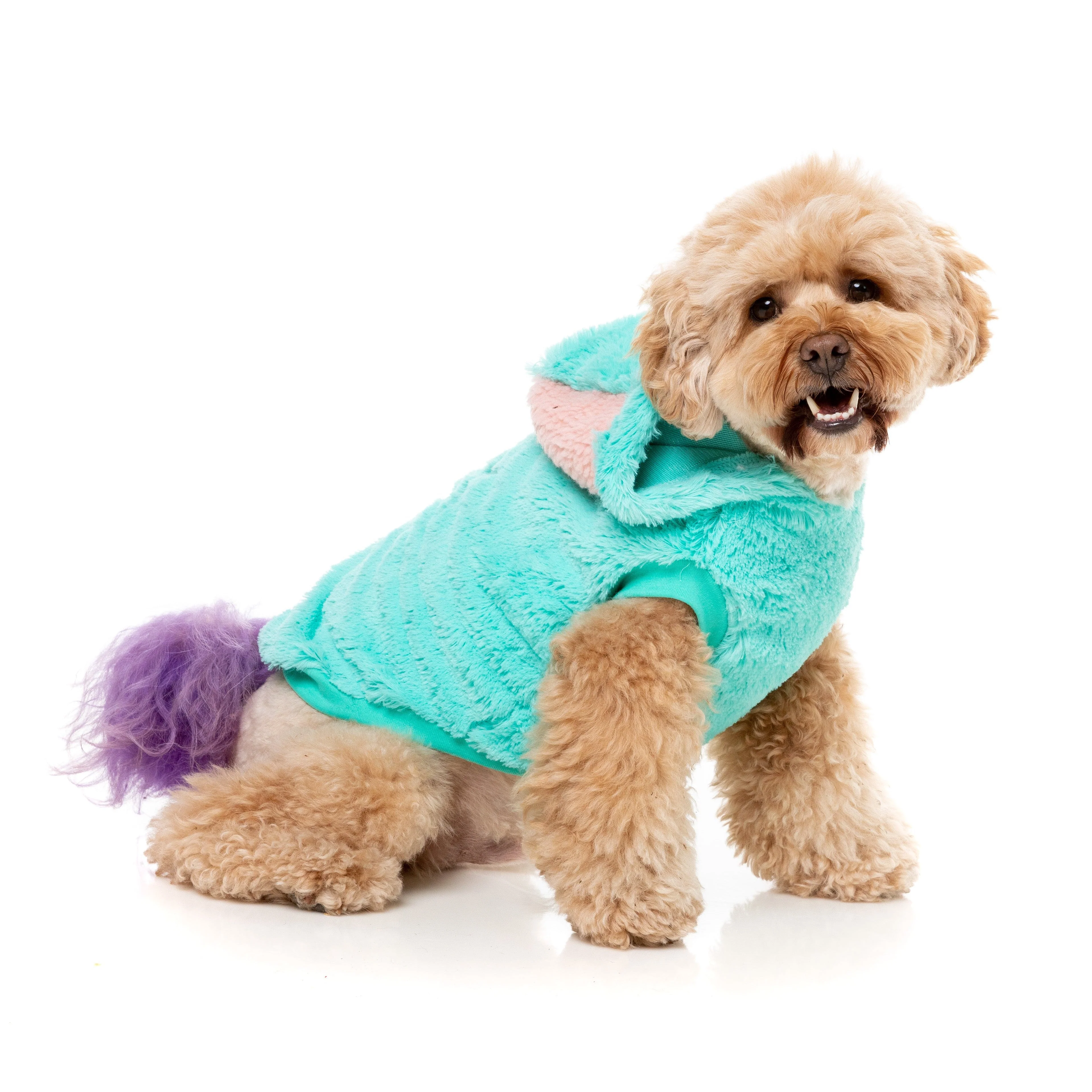 FuzzYard Halloween Dog Apparel Cerebella the Zombie Size 4*** - Image 6