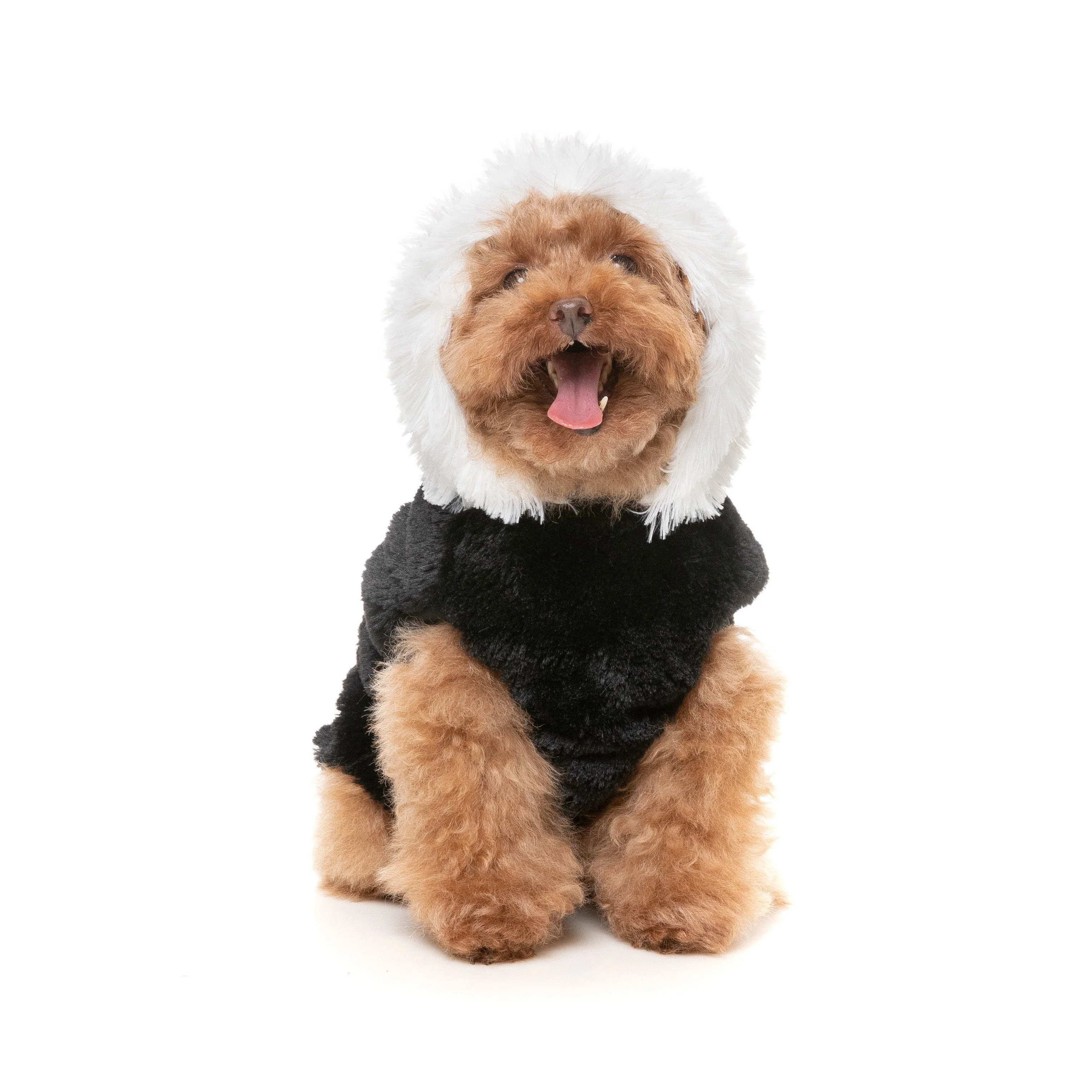 Fuzzyard Halloween Dog Apparel Jerry Spinefield Hoodie Size 4 *** - Image 6