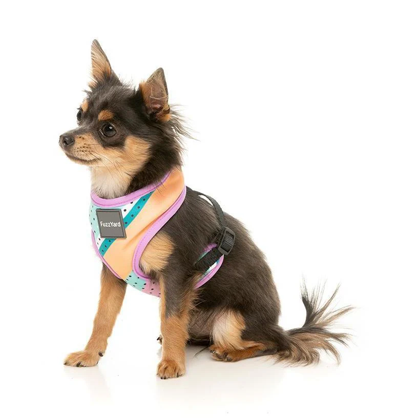FuzzYard Dog Harness Footloose Small* - Image 5