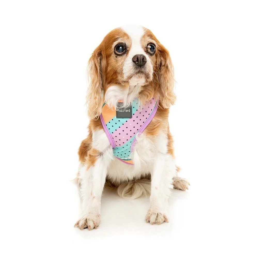 FuzzYard Dog Harness Footloose Small* - Image 6