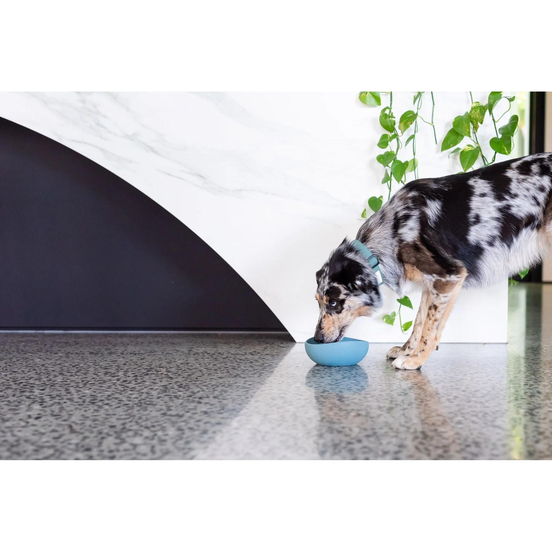 FuzzYard Life Silicone Dog Bowl French Blue Medium - Image 4