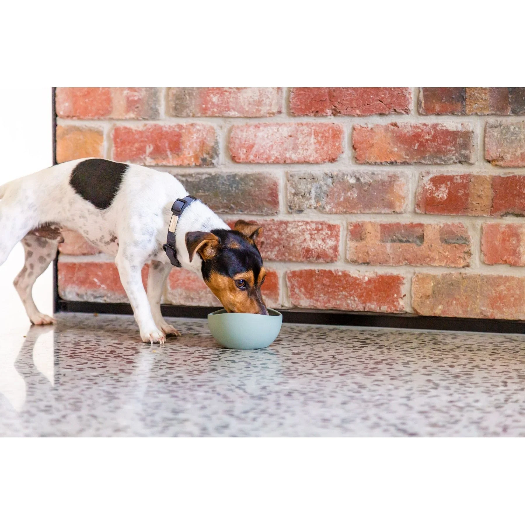 FuzzYard Life Silicone Dog Bowl Myrtle Green Small - Image 4
