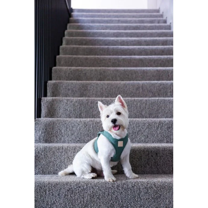 FuzzYard Life Step In Dog Harness Myrtle Green Extra Small - Image 3