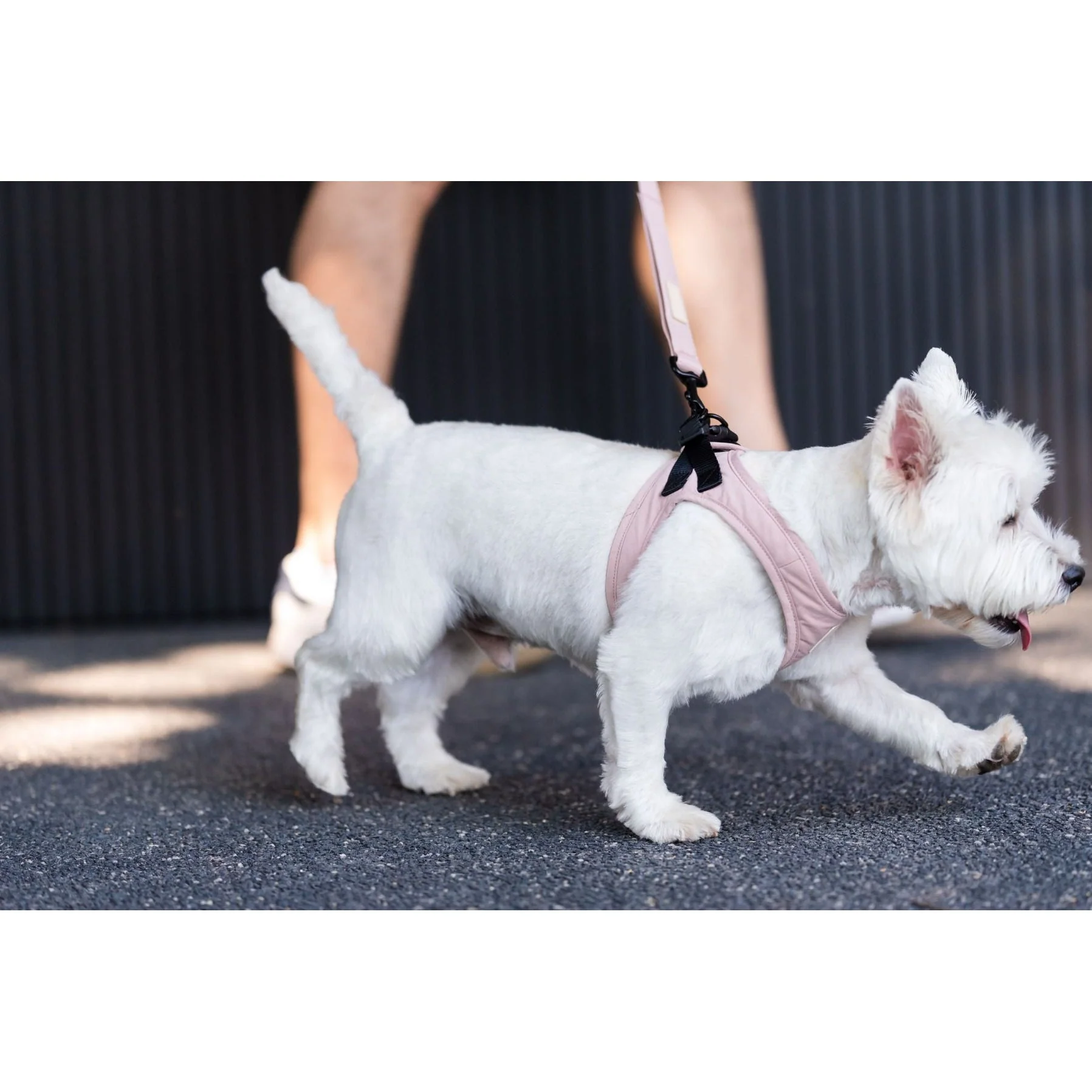 FuzzYard Life Step In Dog Harness Soft Blush Extra Small - Image 4