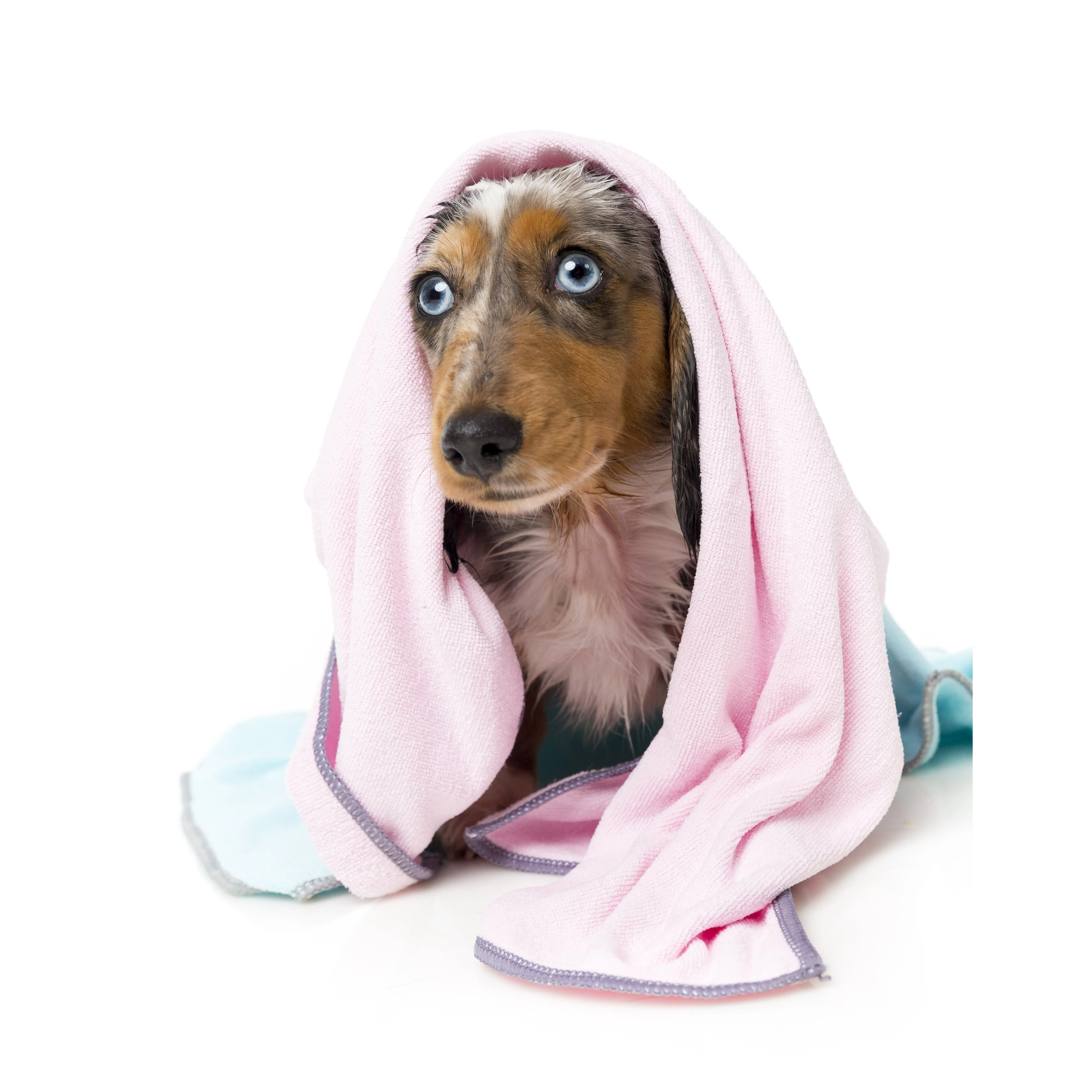FuzzYard Microfibre Puppy Drying Towel Pink with Grey Trim - Image 2