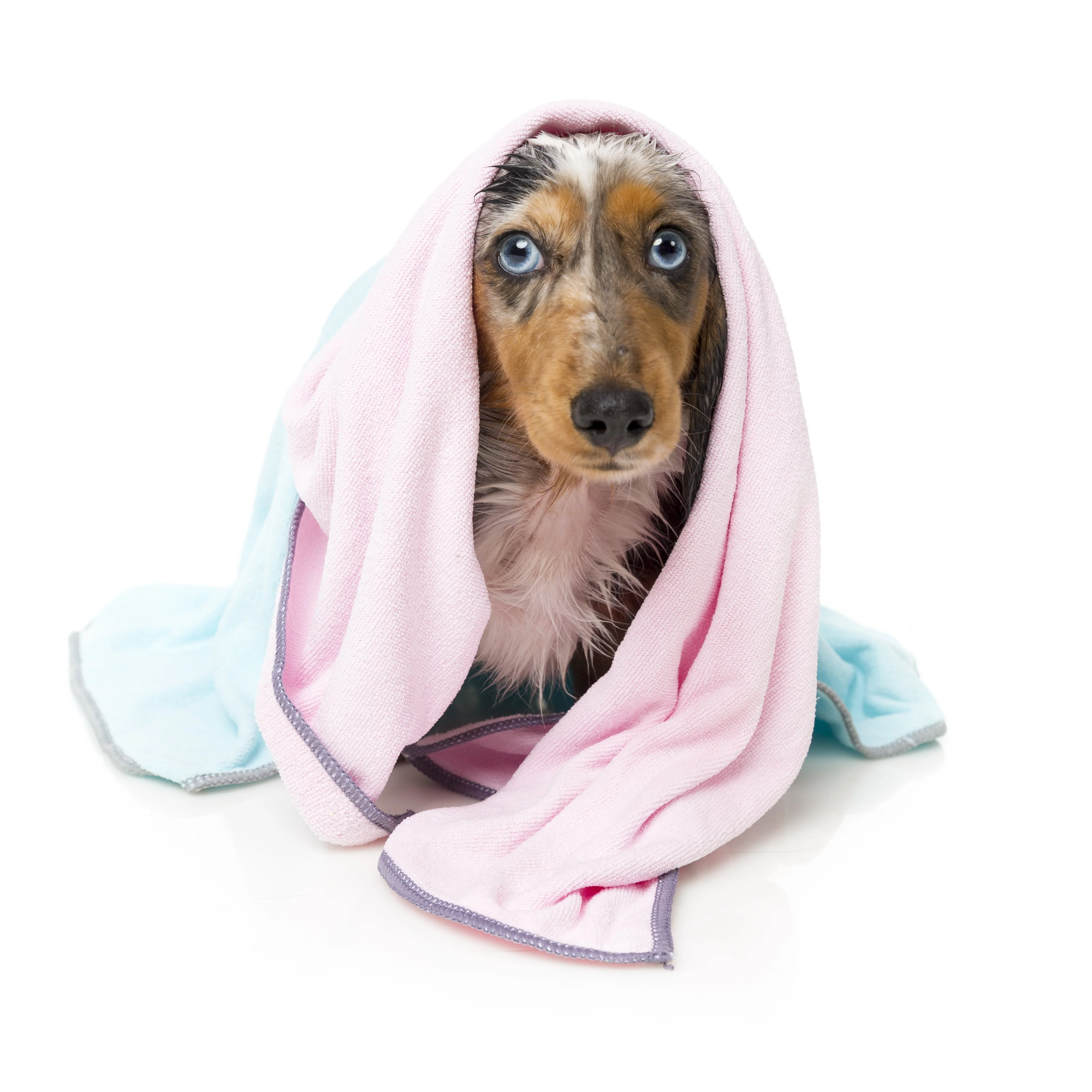 FuzzYard Microfibre Puppy Drying Towel Pink with Grey Trim - Image 3