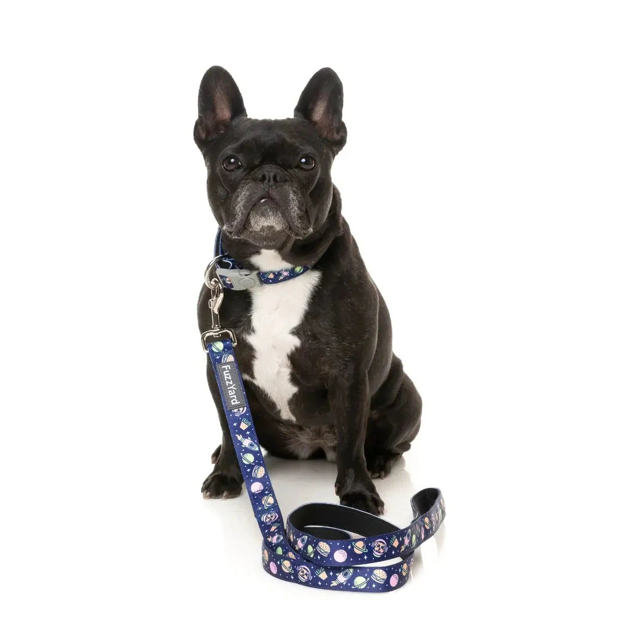 FuzzYard Pluto Pup Dog Collar Medium - Image 2