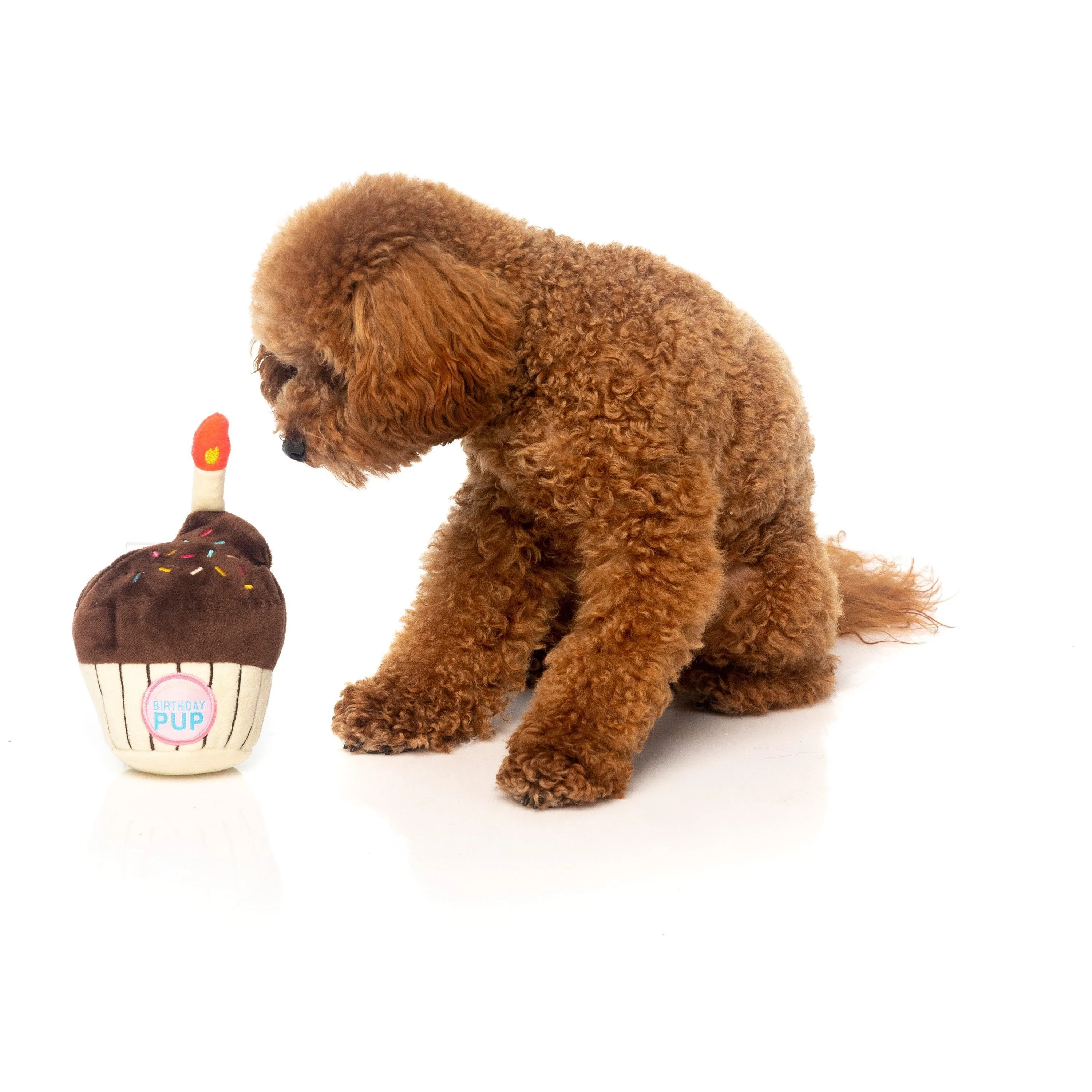 FuzzYard Dog Toy Birthday Cupcake - Image 3