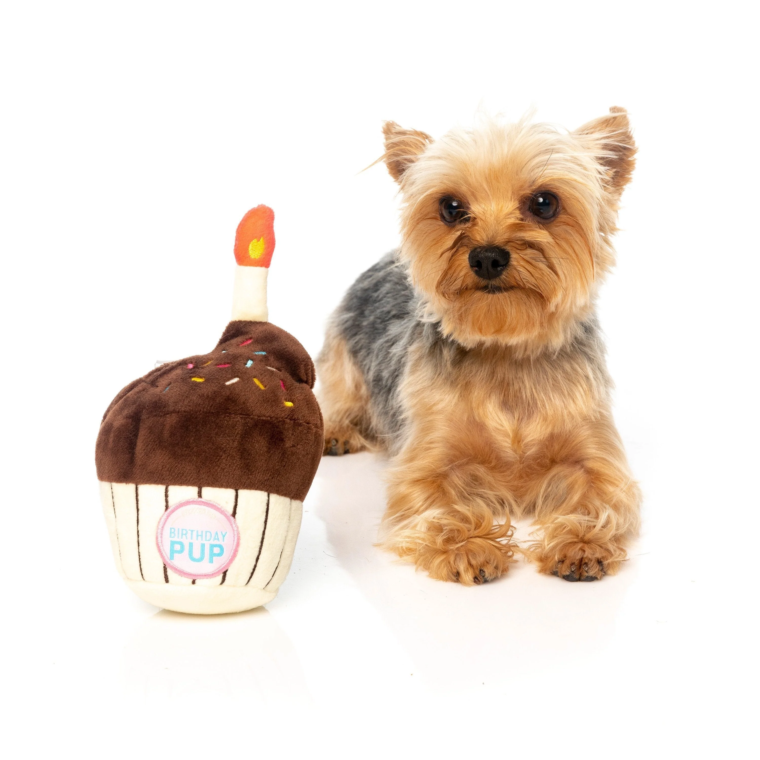 FuzzYard Dog Toy Birthday Cupcake - Image 4