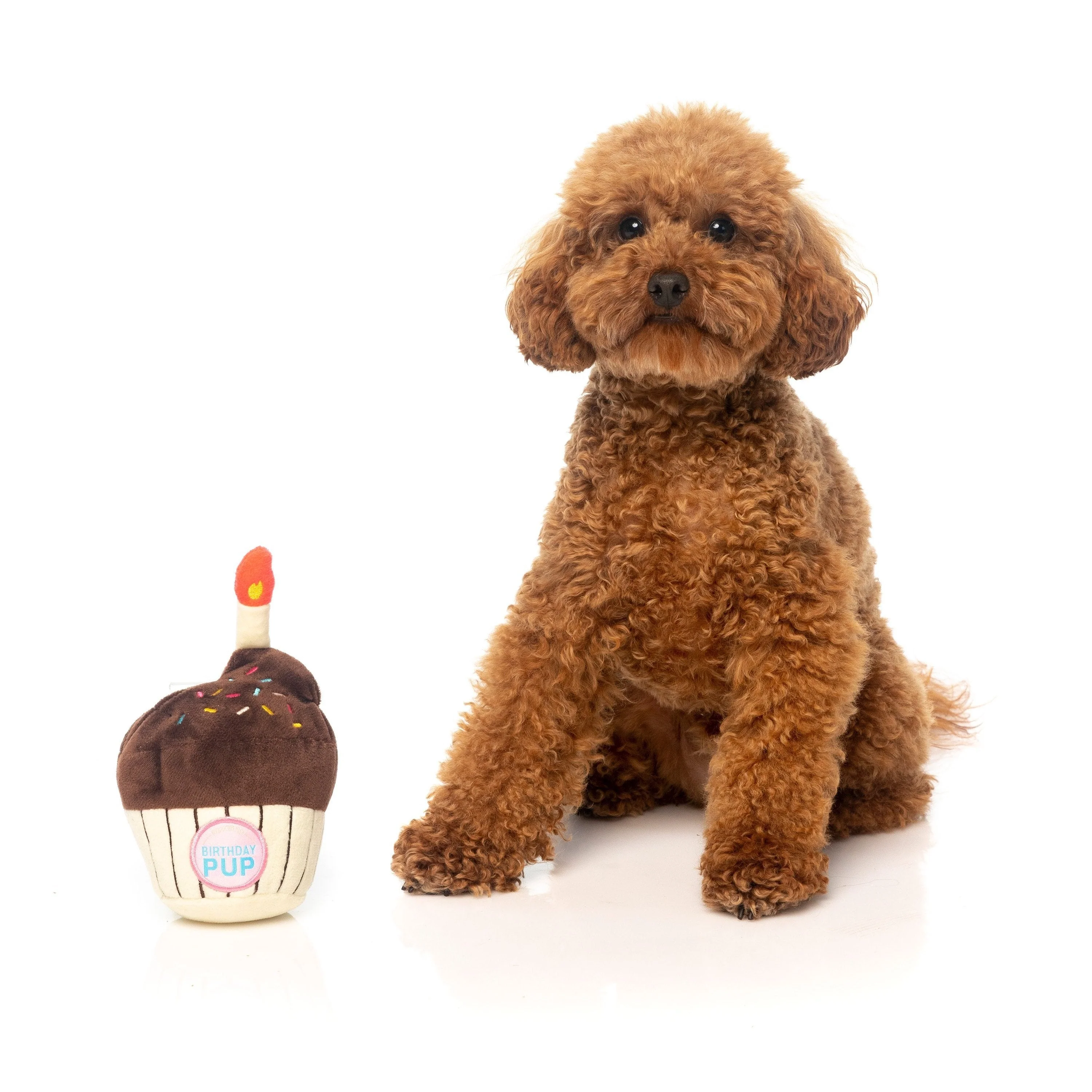 FuzzYard Dog Toy Birthday Cupcake - Image 5