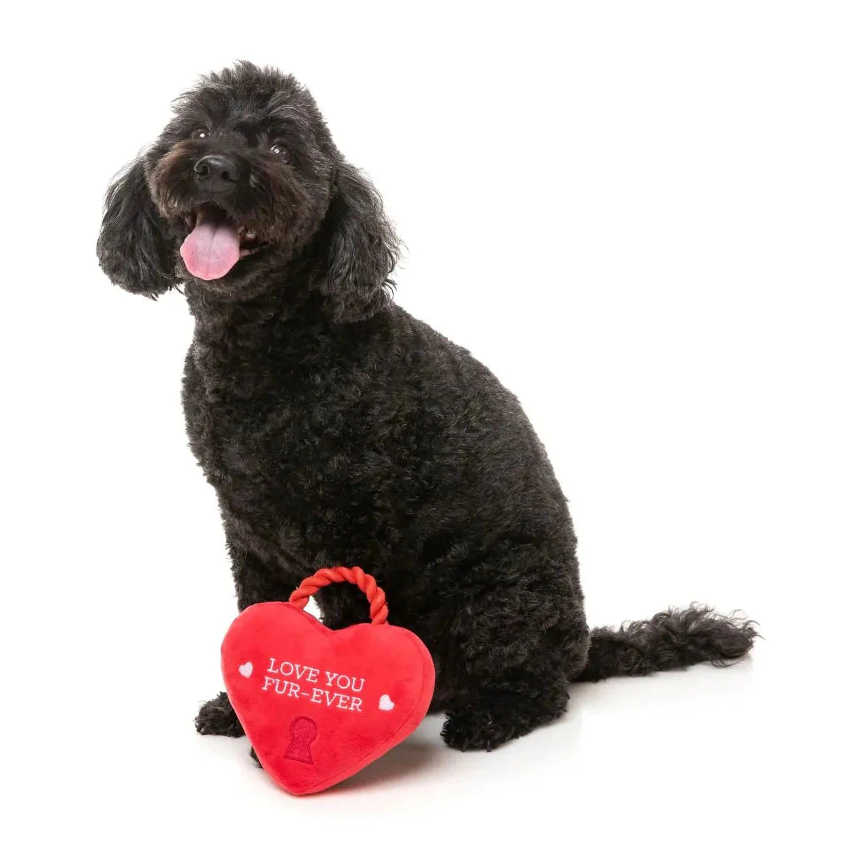 FuzzYard Valentines Day Love You Fur-Ever Lock Plush Dog Toy - Image 2