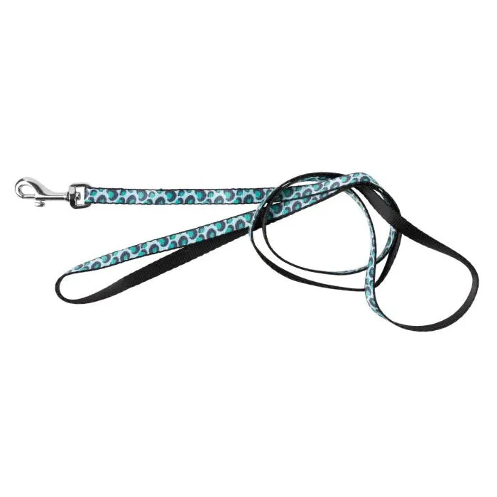 FuzzYard Wild One Aqua Cat Harness and Lead Walking Set - Image 3