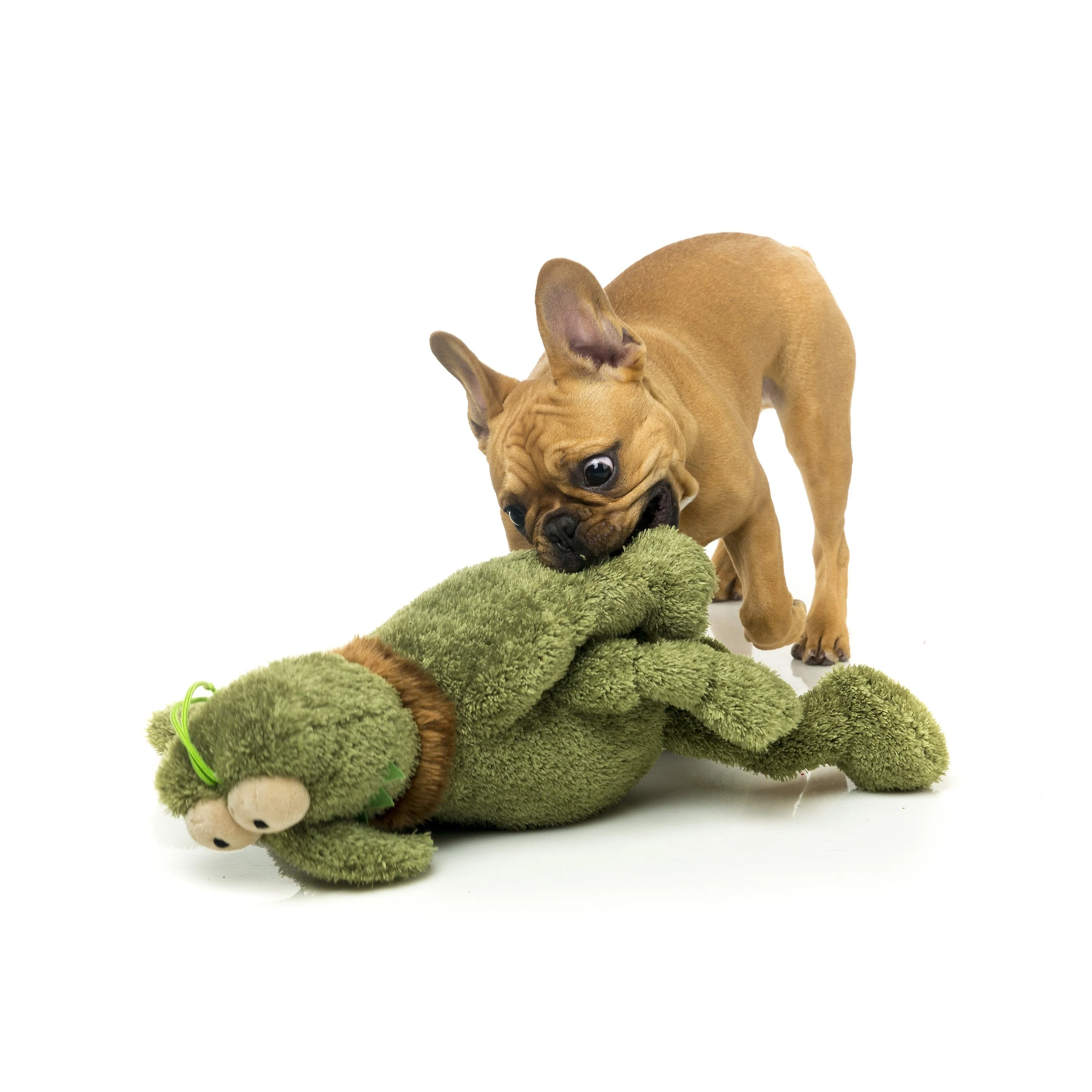 FuzzYard Dog Toy Scratchy Green Flea Small - Image 2