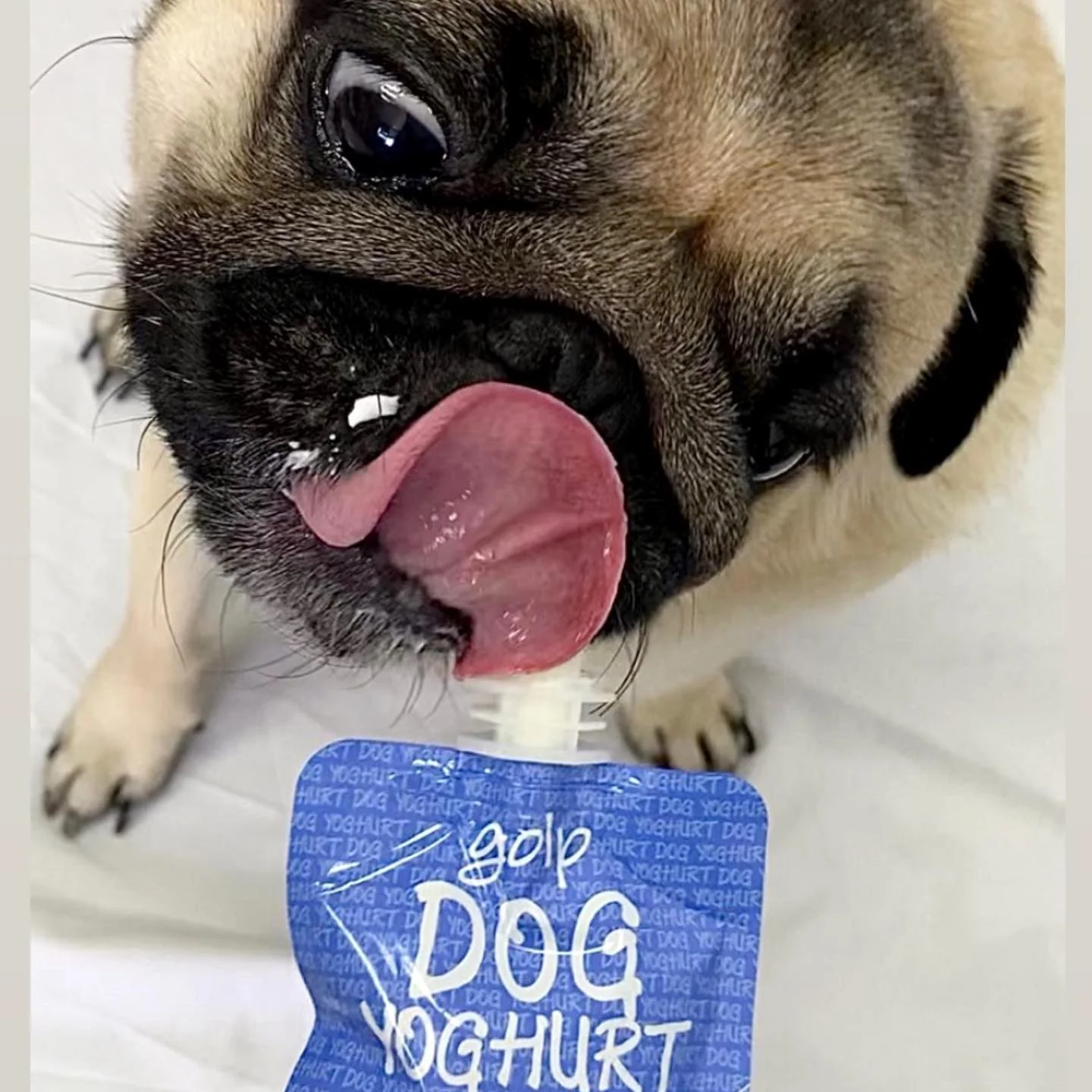 Golp Yoghurt Pouch for Dogs 70g - Image 6