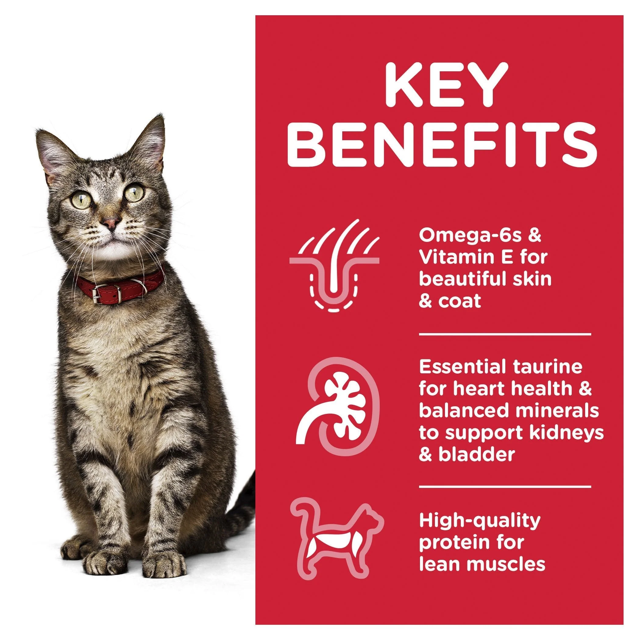 Hills Science Diet Adult Optimal Care Ocean Fish Cat Food Pouches 85g - Image 3