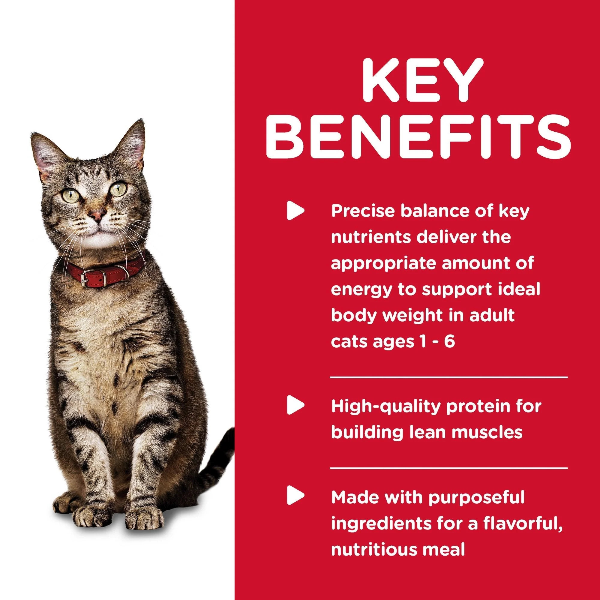 Hills Science Diet Adult Tender Dinners Tuna Canned Cat Food 156g - Image 3