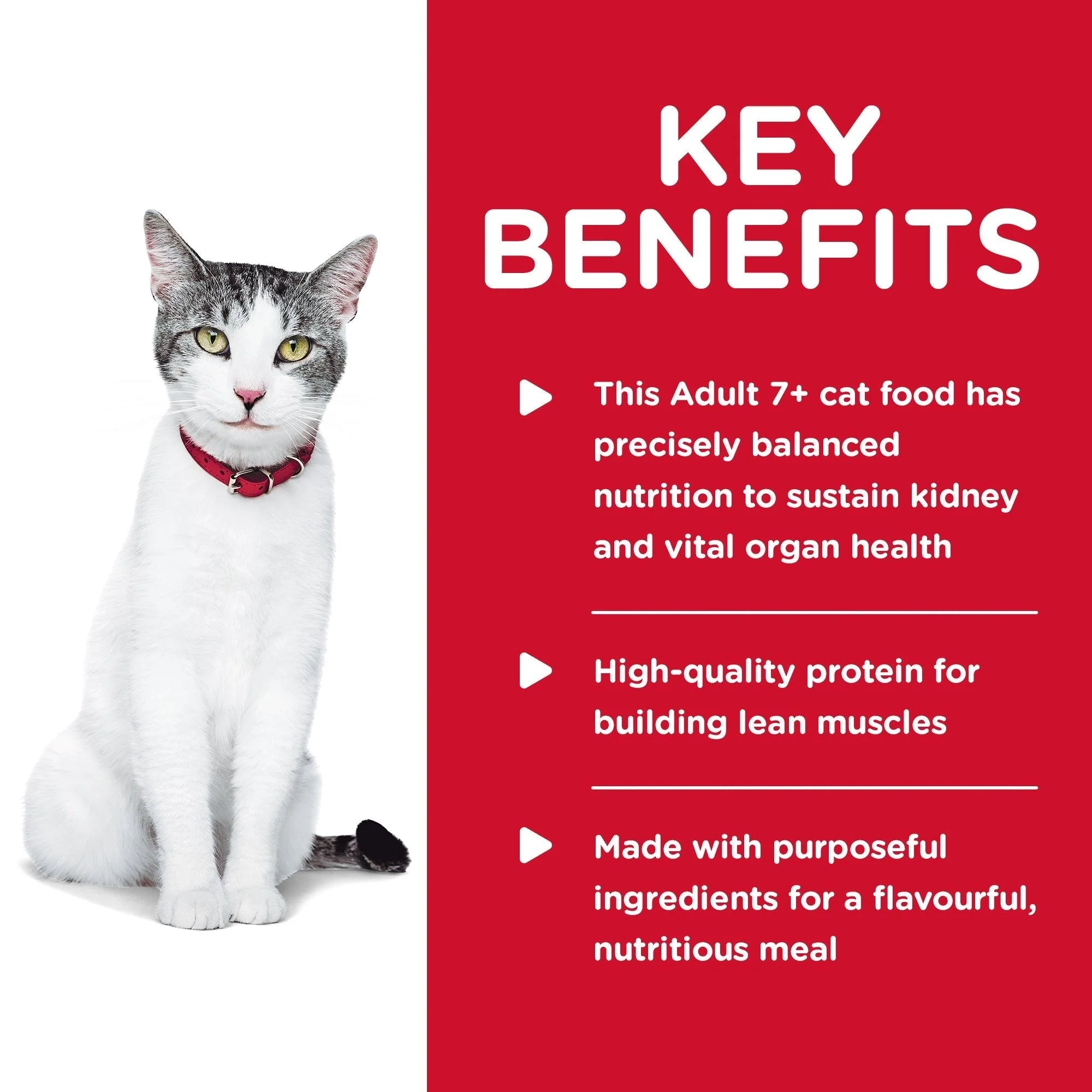 Hills Science Diet Senior Adult 11+ Dry Cat Food 3.17kg - Image 3