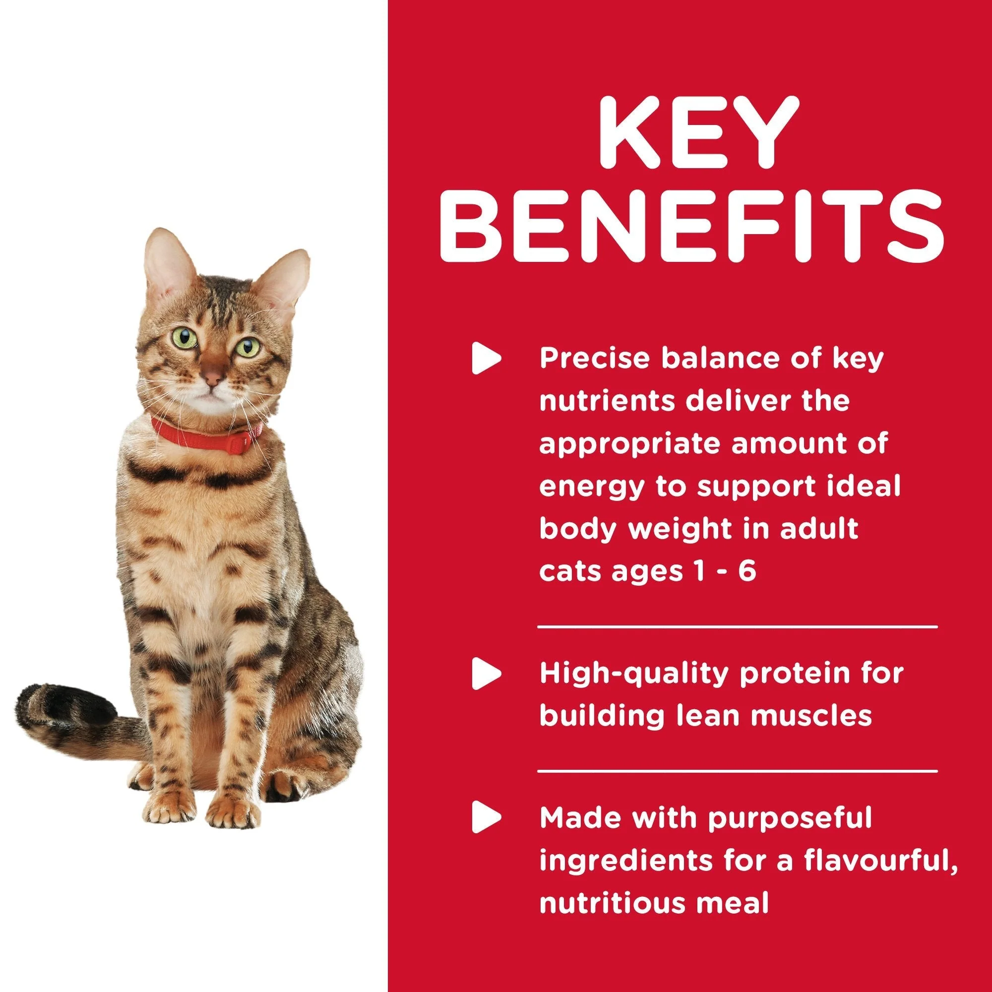 Hills Science Diet Adult Healthy Cuisine Chicken and Rice Medley Canned Cat Food 79g x 24 - Image 4