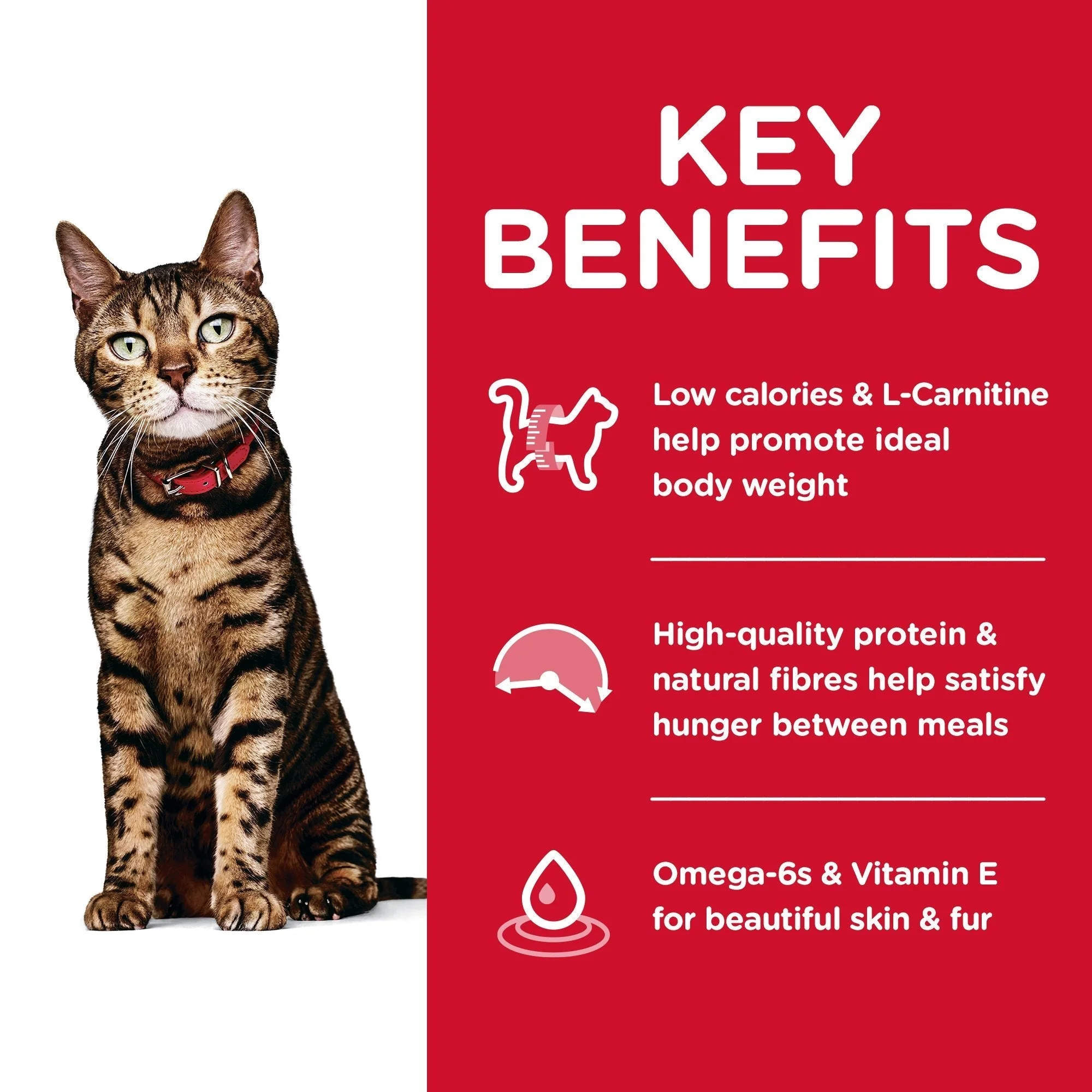 Hills Science Diet Light Adult Dry Cat Food 3.5kg - Image 3