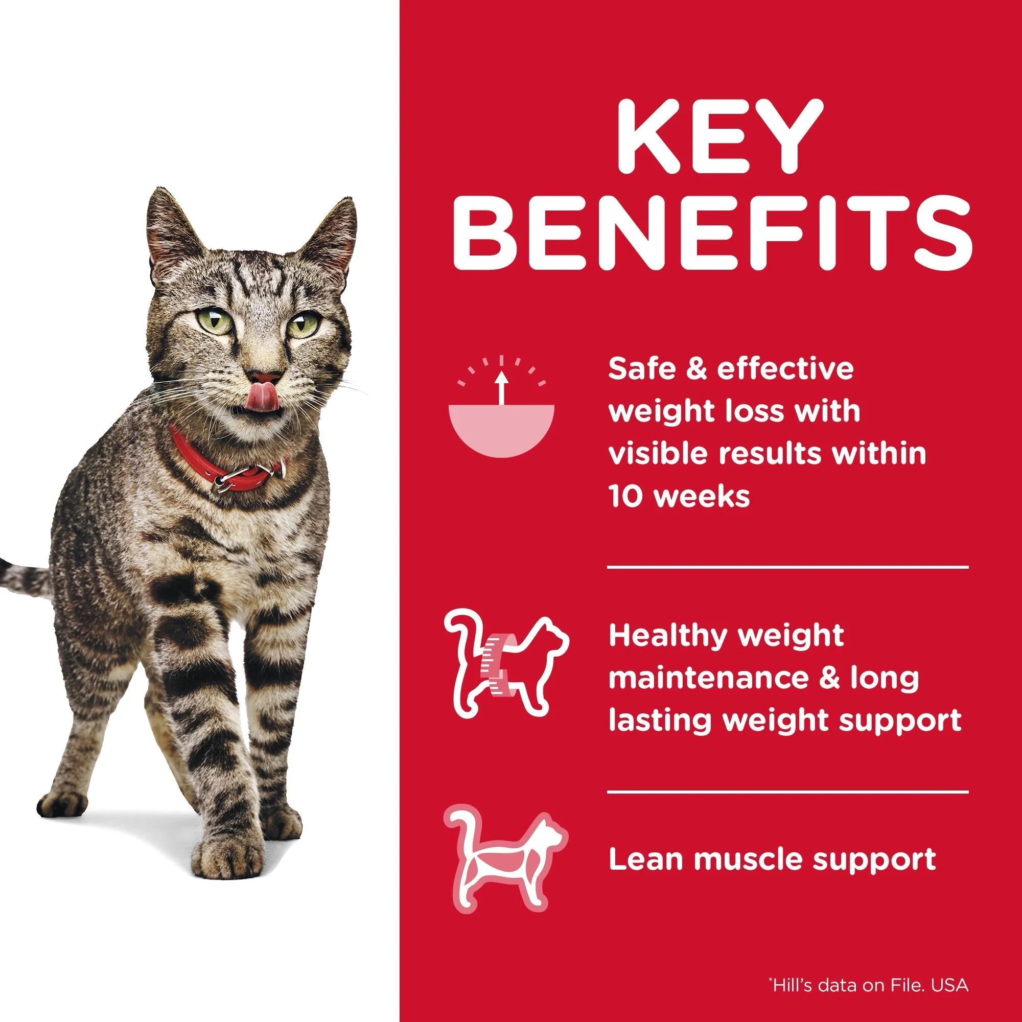 Hills Science Diet Perfect Weight Adult Dry Cat Food 1.3kg - Image 3