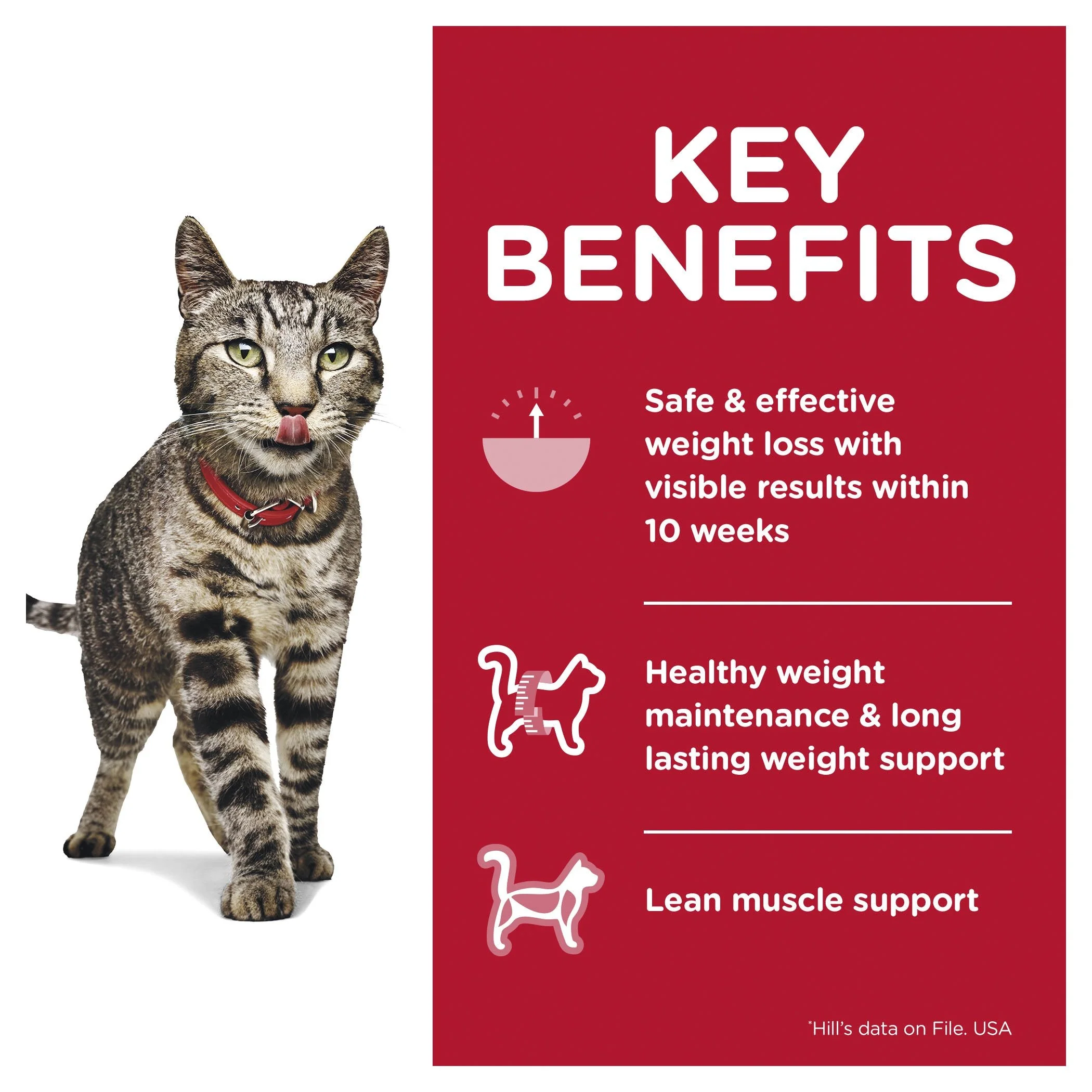 Hills Science Diet Adult Perfect Weight Chicken Cat Food Pouches 85g - Image 3