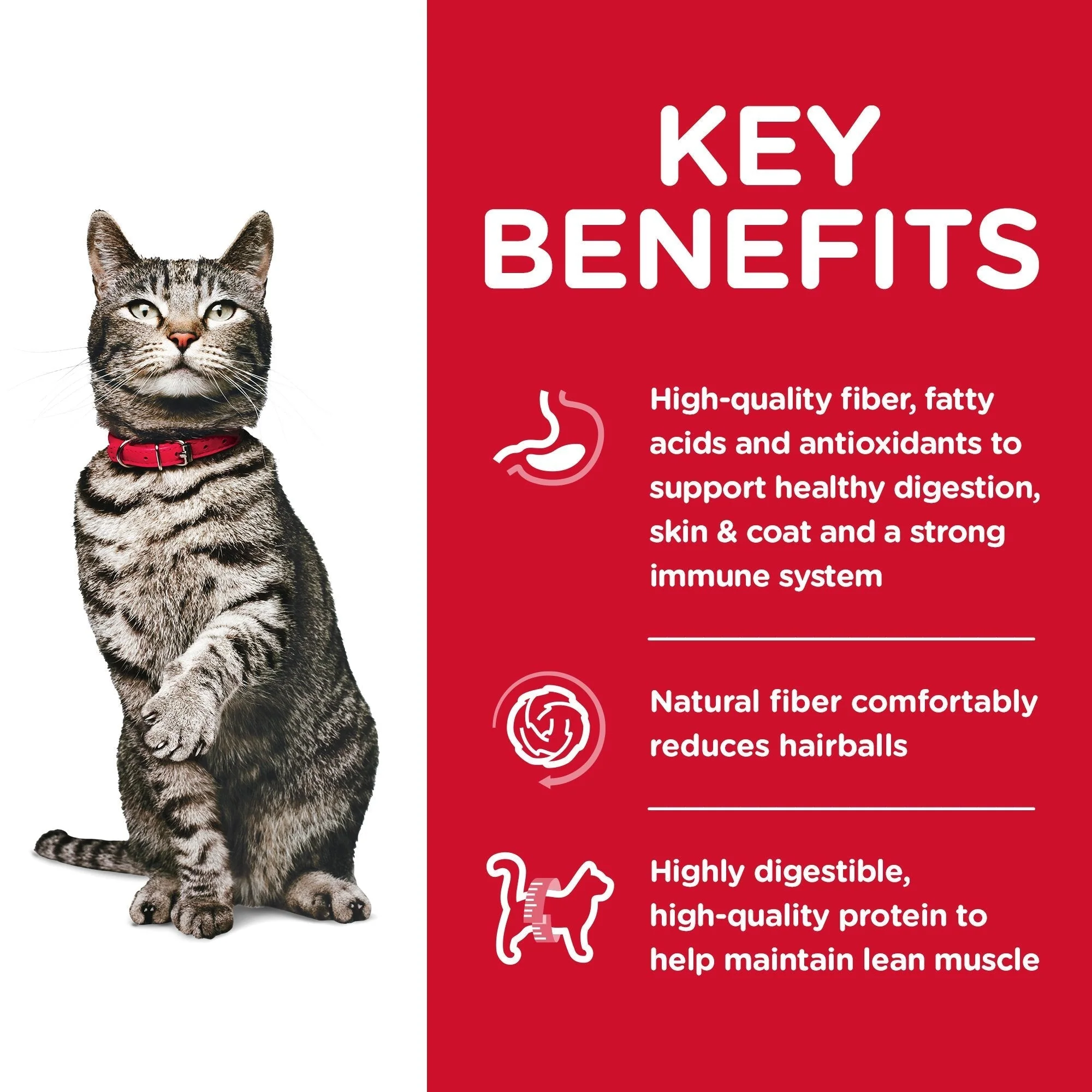 Hills Science Diet Urinary Hairball Control Adult Dry Cat Food 1.58kg - Image 3