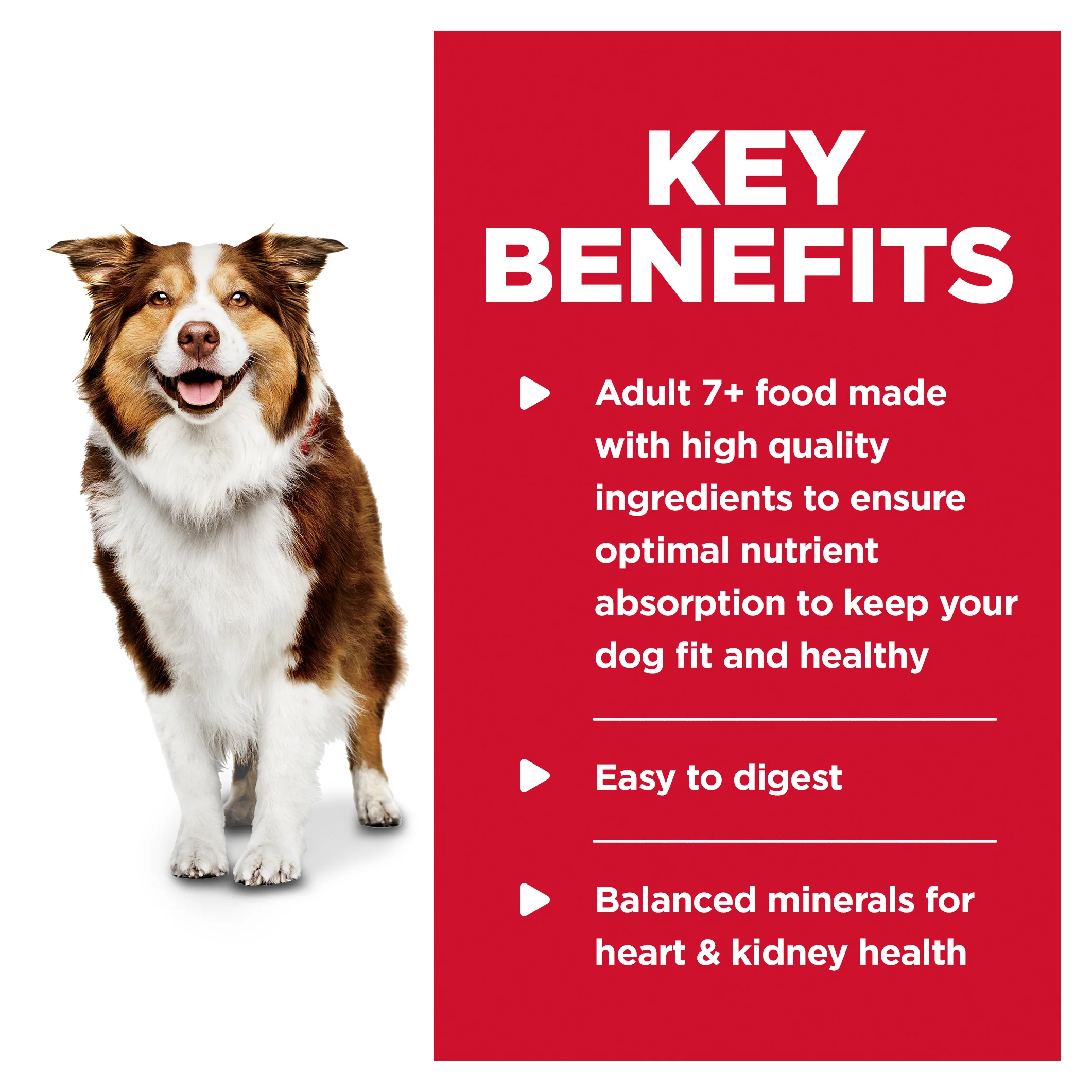 Hills Science Diet Adult 7+ Chicken and Barley Canned Dog Food 370g - Image 5
