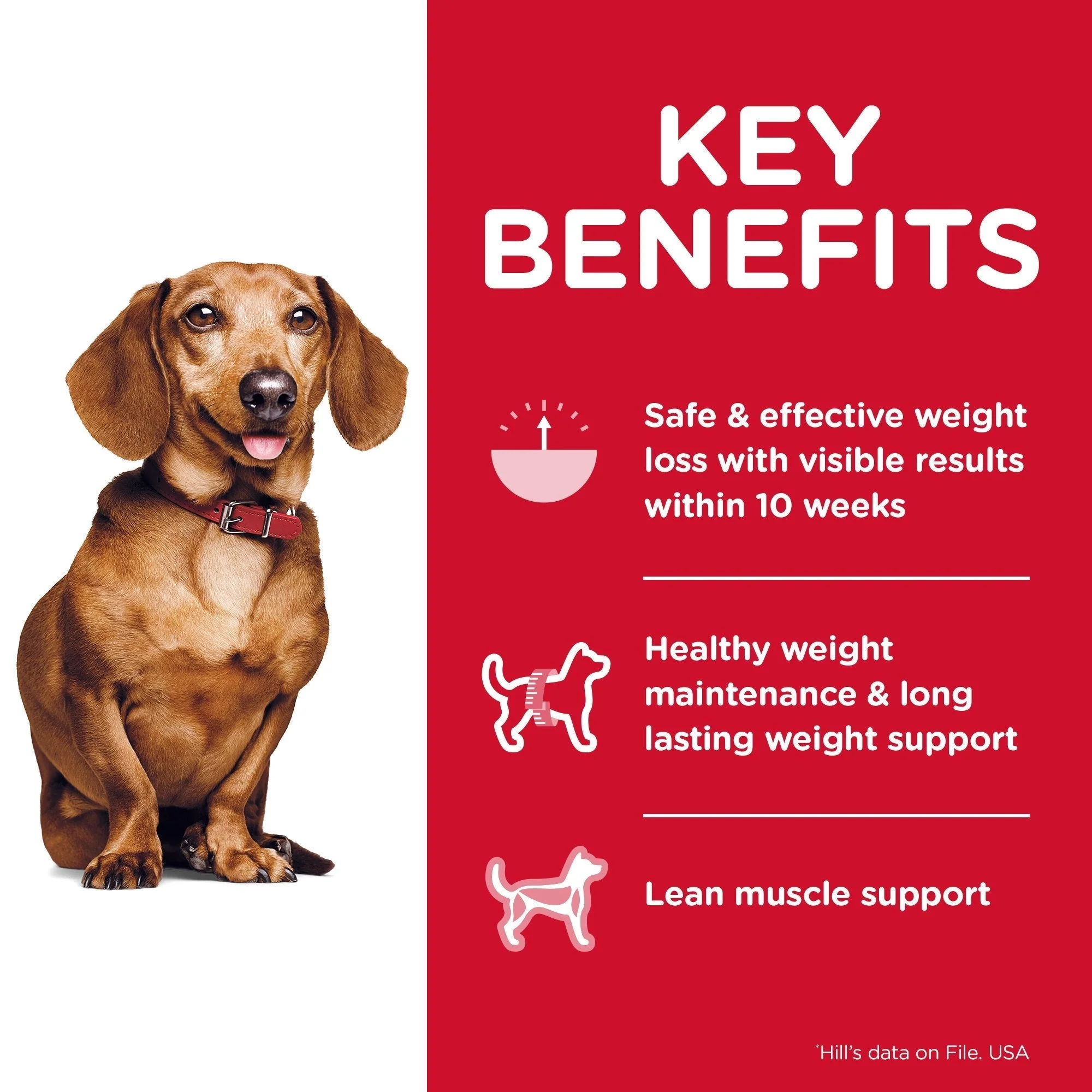 Hills Science Diet Perfect Weight Small and Mini Adult Dry Dog Food 1.8kg - Image 3