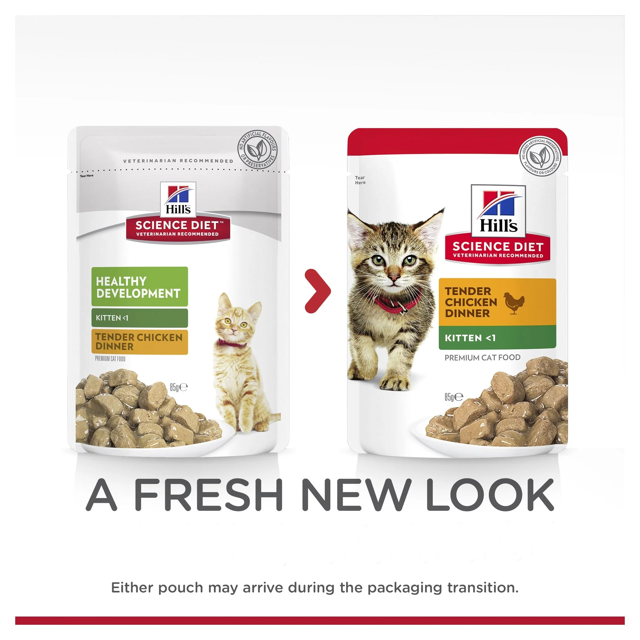 Hills Science Diet Kitten Healthy Development Chicken Cat Food Pouches 85g x 12 - Image 6
