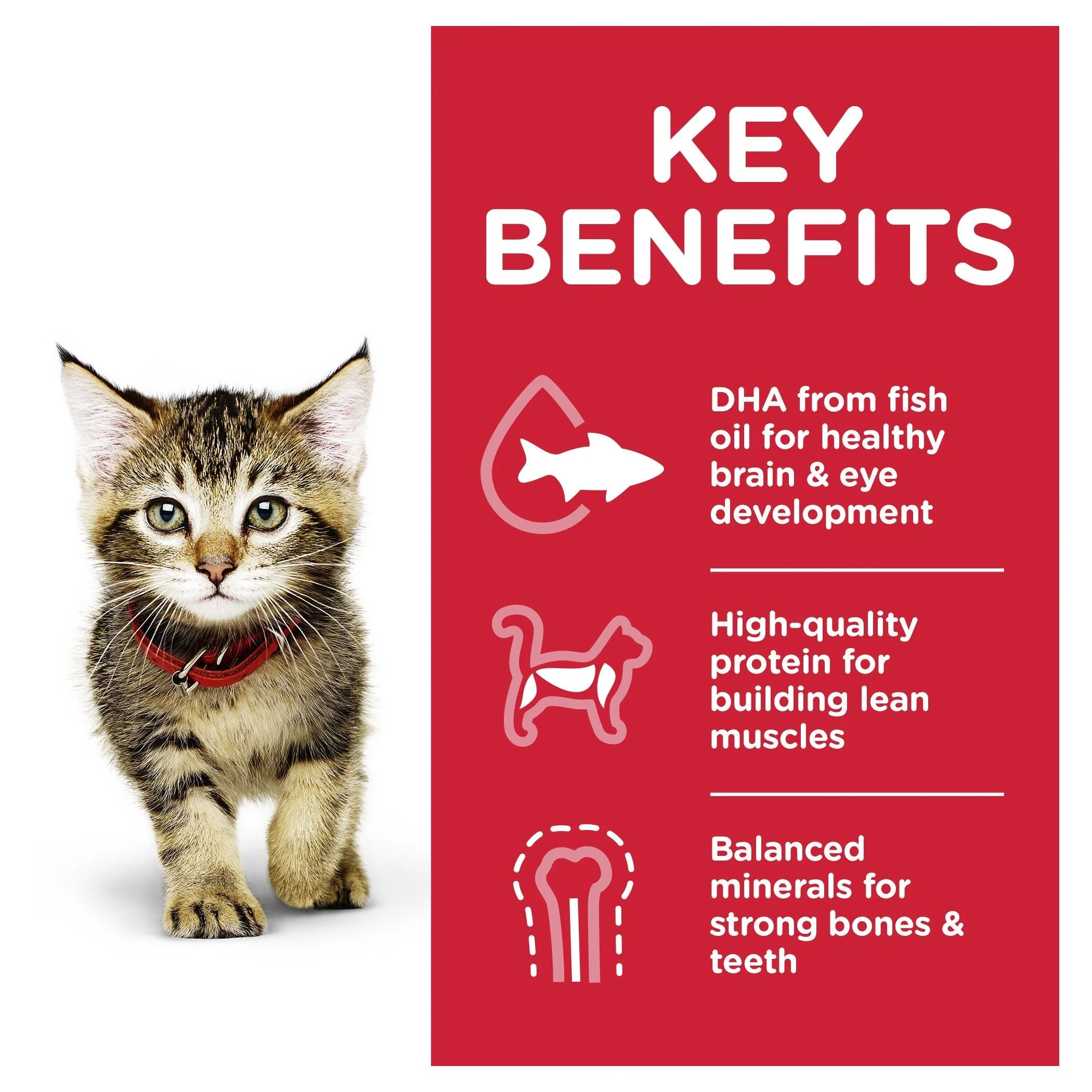 Hills Science Diet Kitten Healthy Development Ocean Fish Cat Food Pouches 85g x 12 - Image 3