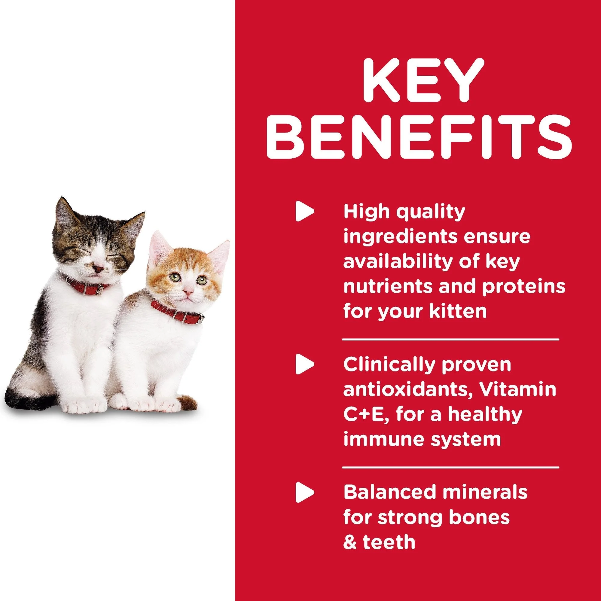 Hills Science Diet Kitten Healthy Cuisine Chicken and Rice Medley Canned Cat Food 79g x 24 - Image 3