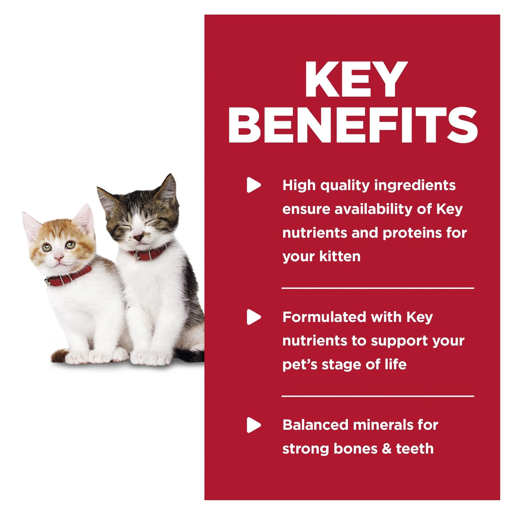 Hills Science Diet Kitten Tender Dinners Chicken Canned Cat Food 156g - Image 9
