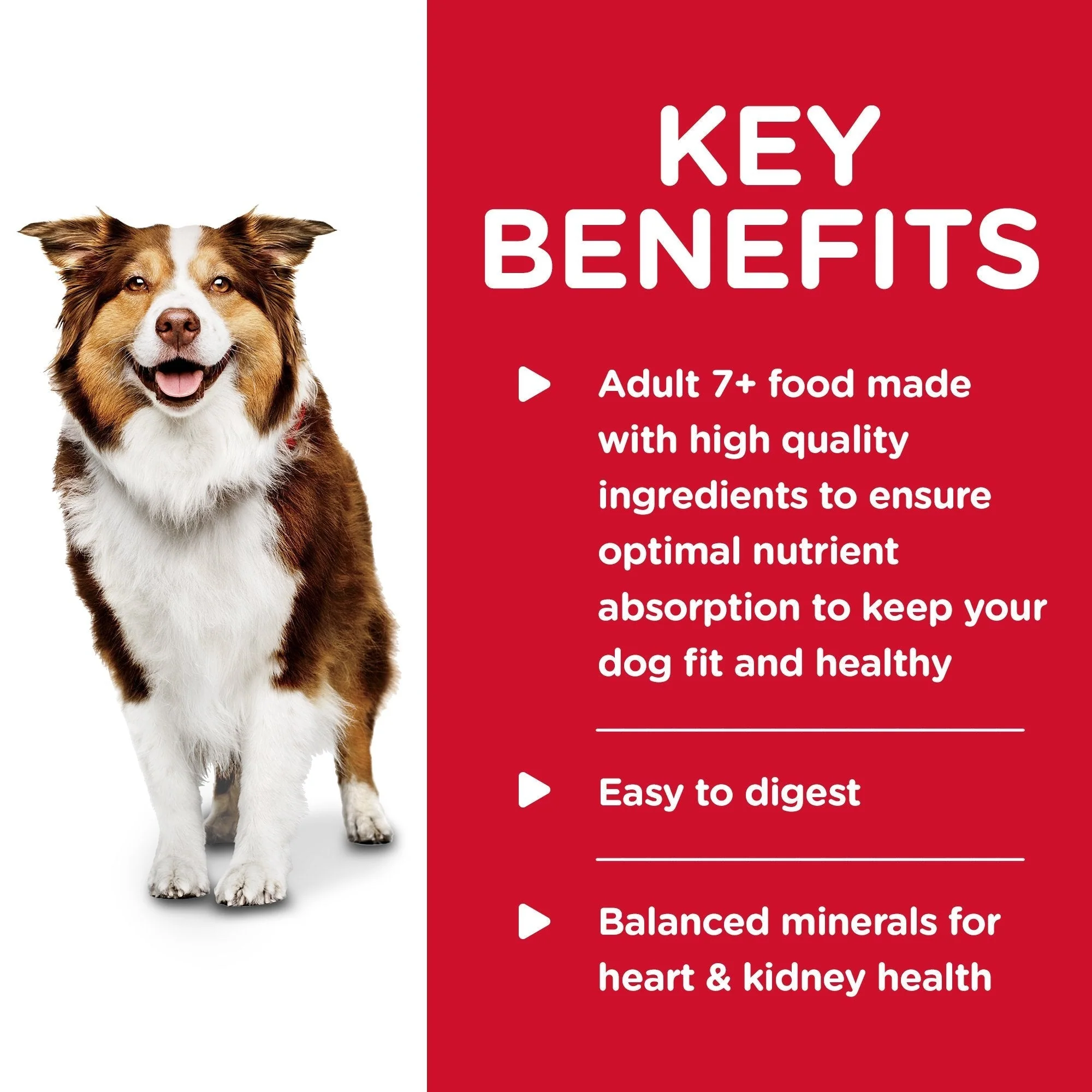 Hills Science Diet Adult 7+ Savoury Stew Beef and Vegetables Canned Dog Food 363g x 12 - Image 4