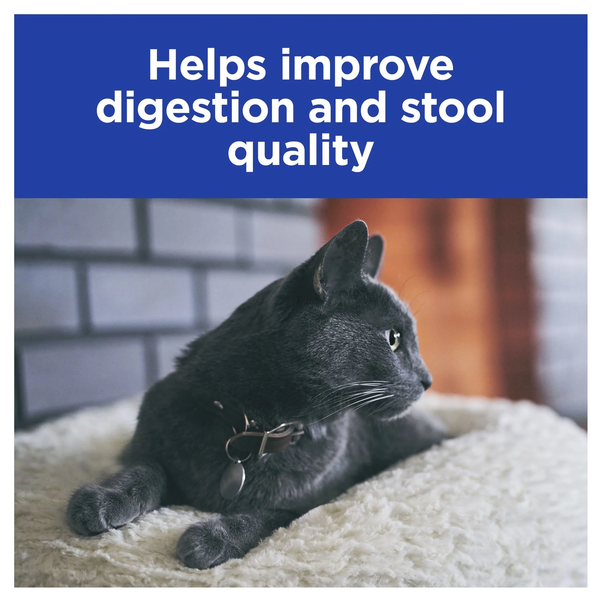 Hills Prescription Diet Cat i/d Digestive Care Chicken Wet Cat Food 156g x 24 - Image 4