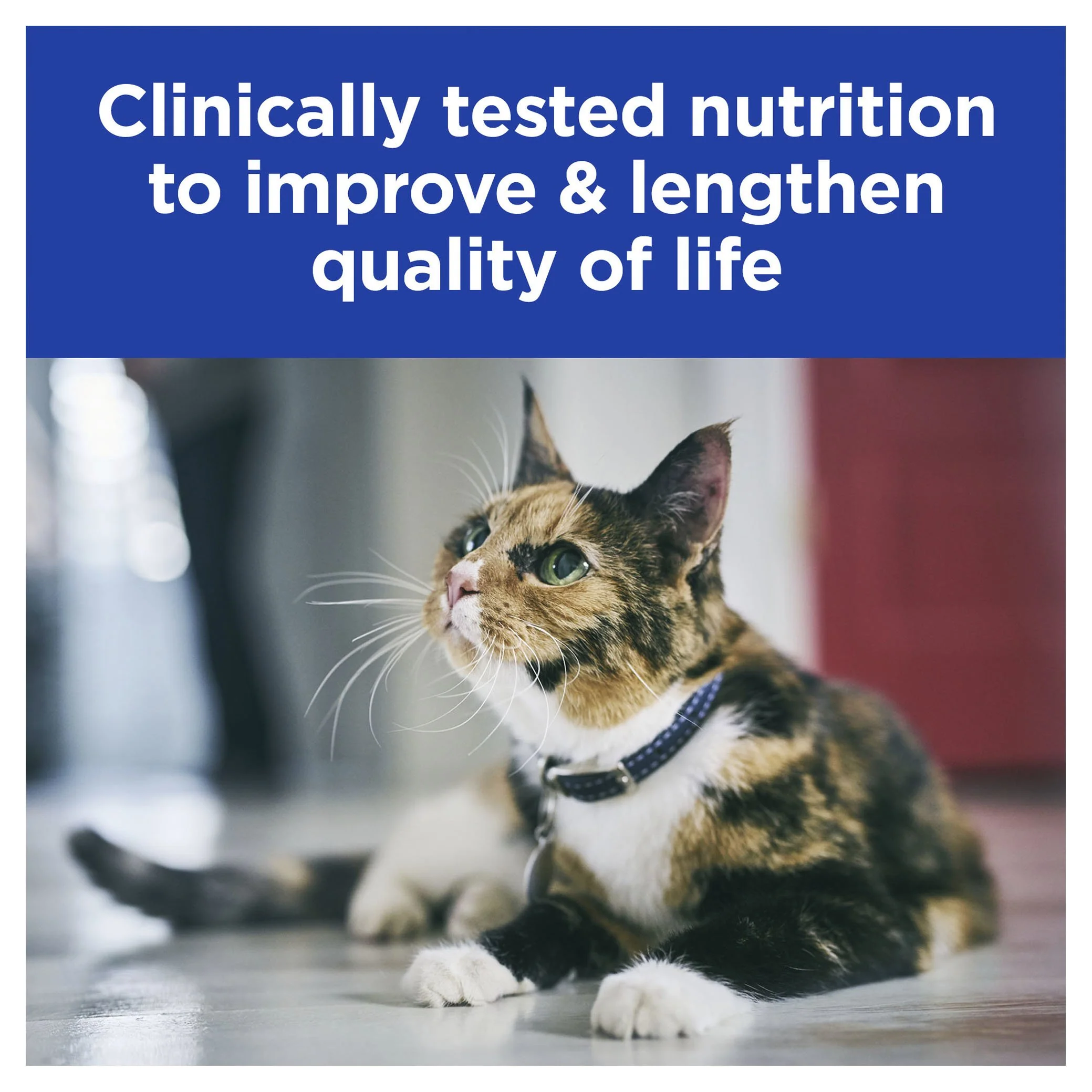 Hills Prescription Diet Cat k/d Kidney Care Chicken Wet Food Pouches 85g x 12 - Image 6
