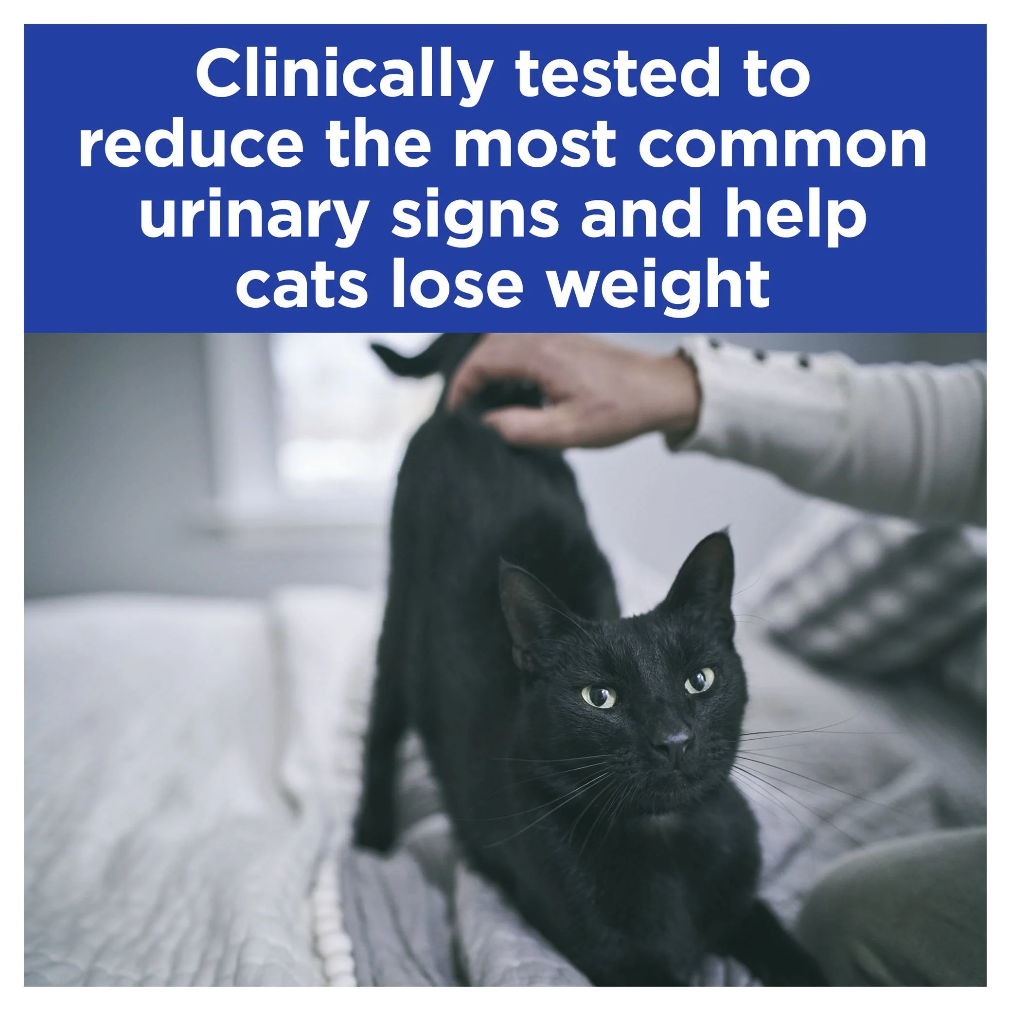 Hills Prescription Diet Cat Metabolic + Urinary Stress Weight and Urinary Care Chicken Wet Food Pouch 85g - Image 3