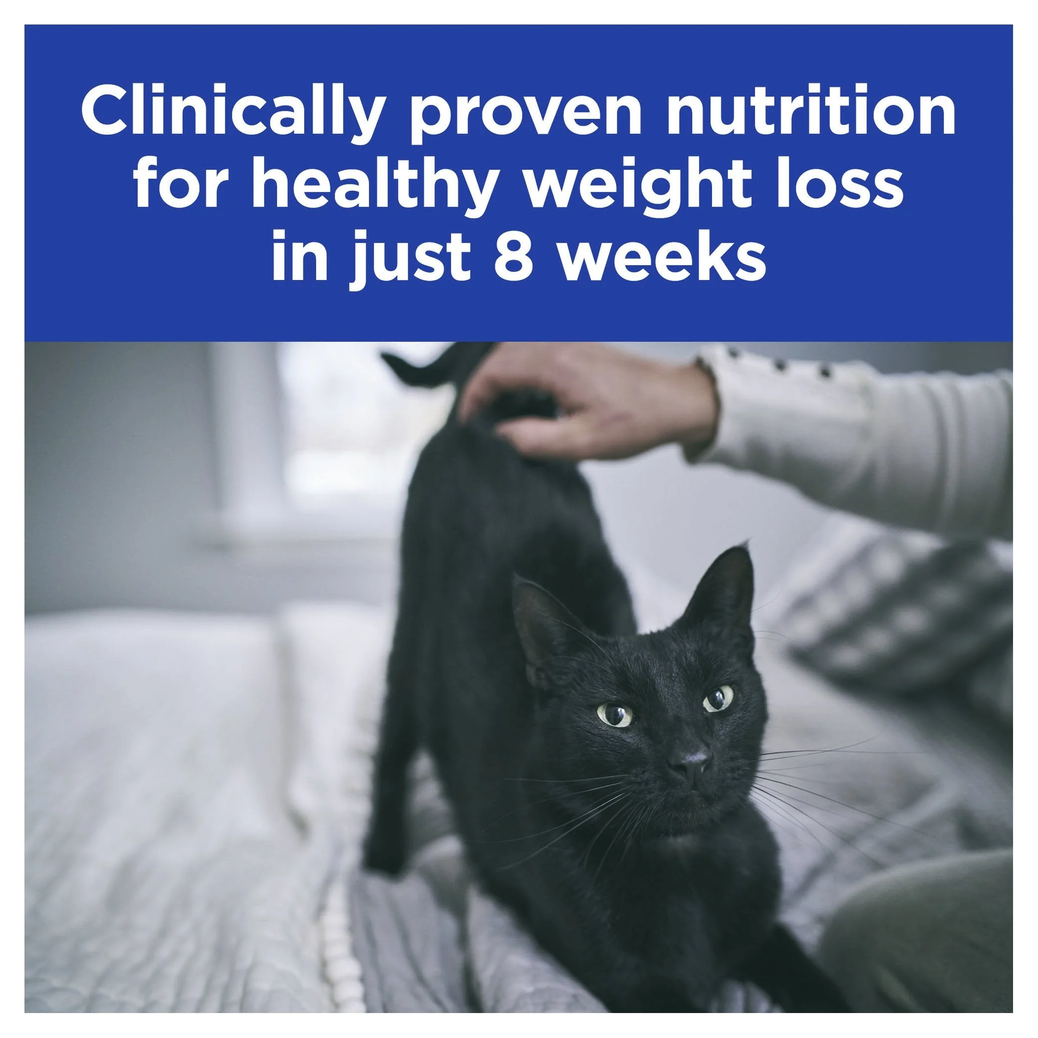 Hills Prescription Diet Cat r/d Weight Reduction Dry Food 3.9kg - Image 3