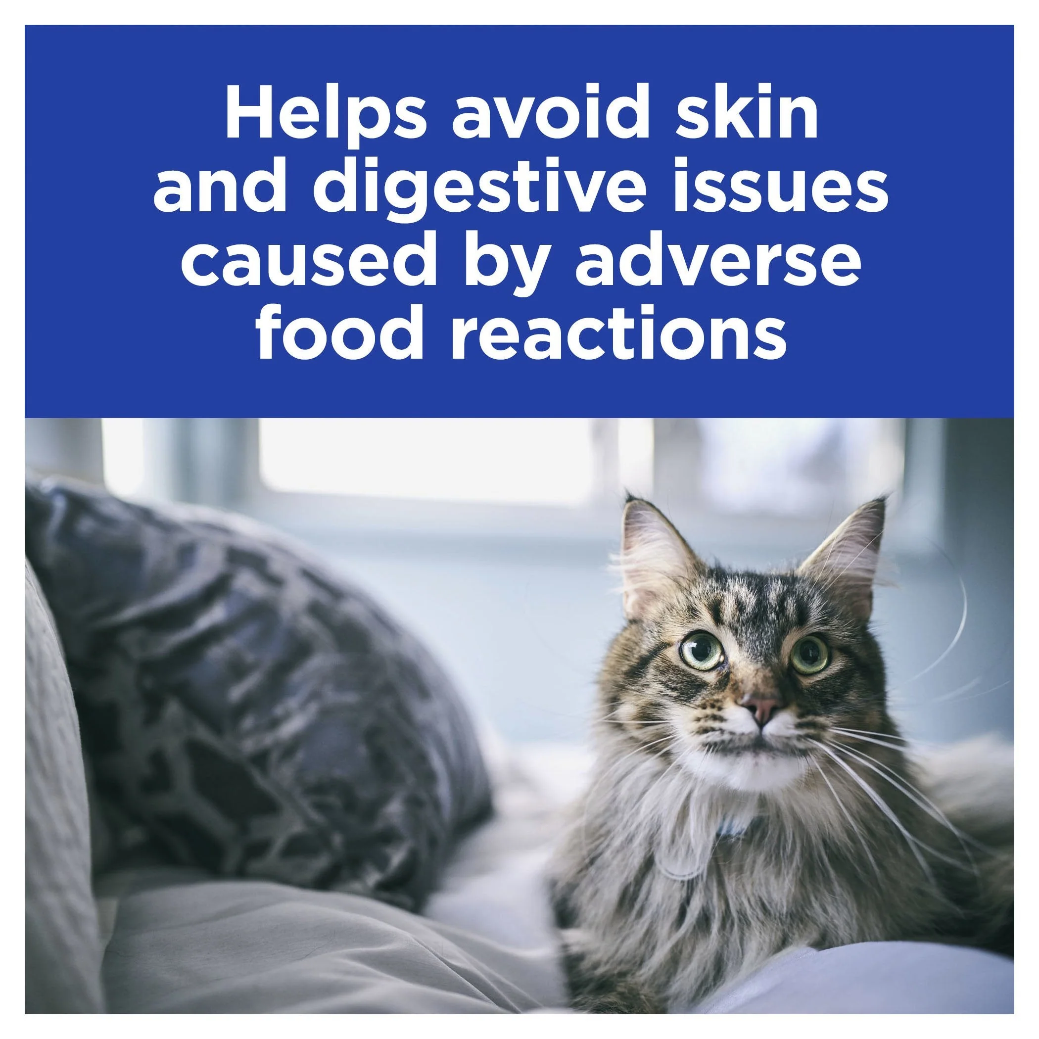Hills Prescription Diet Cat z/d Skin/Food Sensitivities Dry Food 3.85kg - Image 3