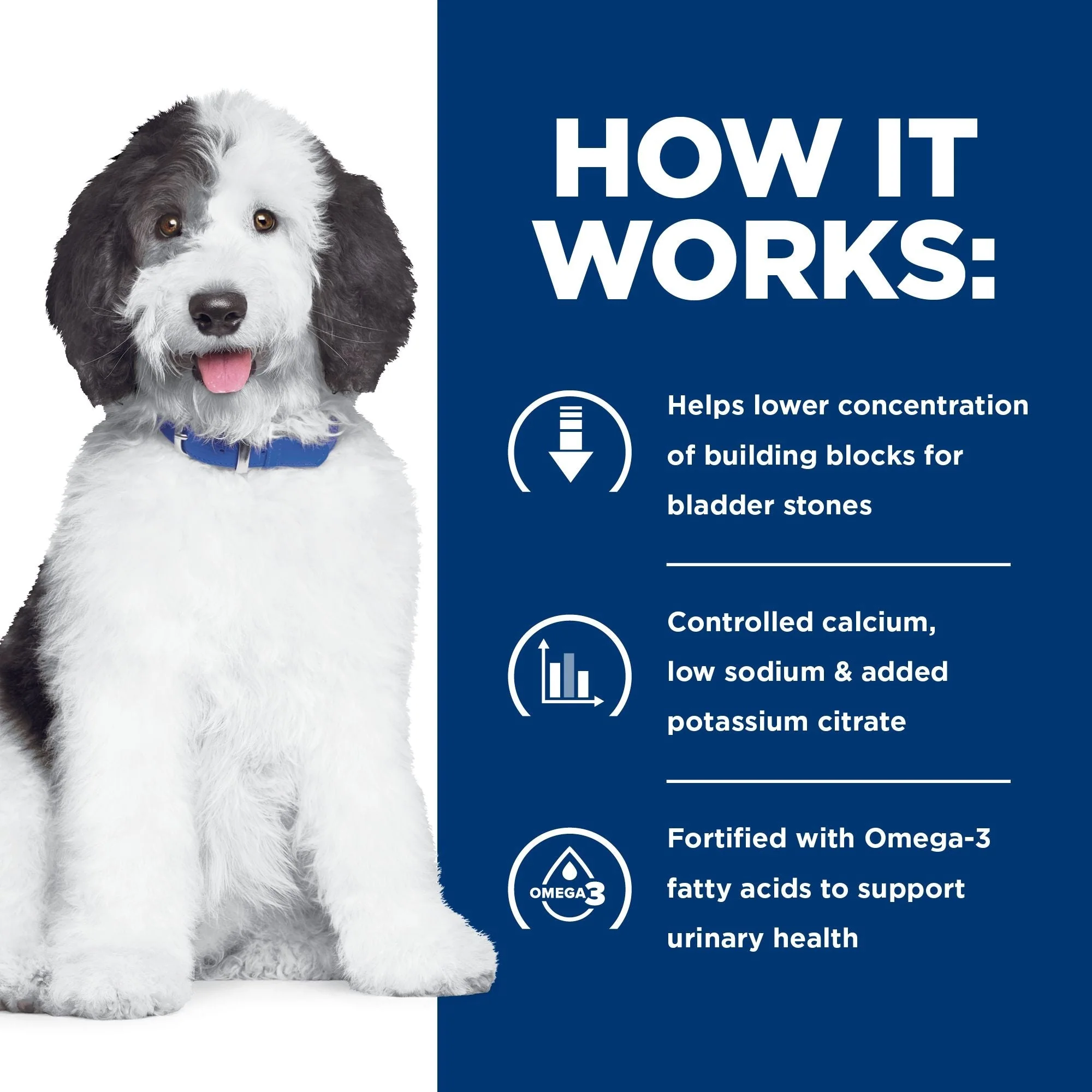 Hills Prescription Diet Dog c/d Multicare Urinary Care Dry Food 3.85kg - Image 4