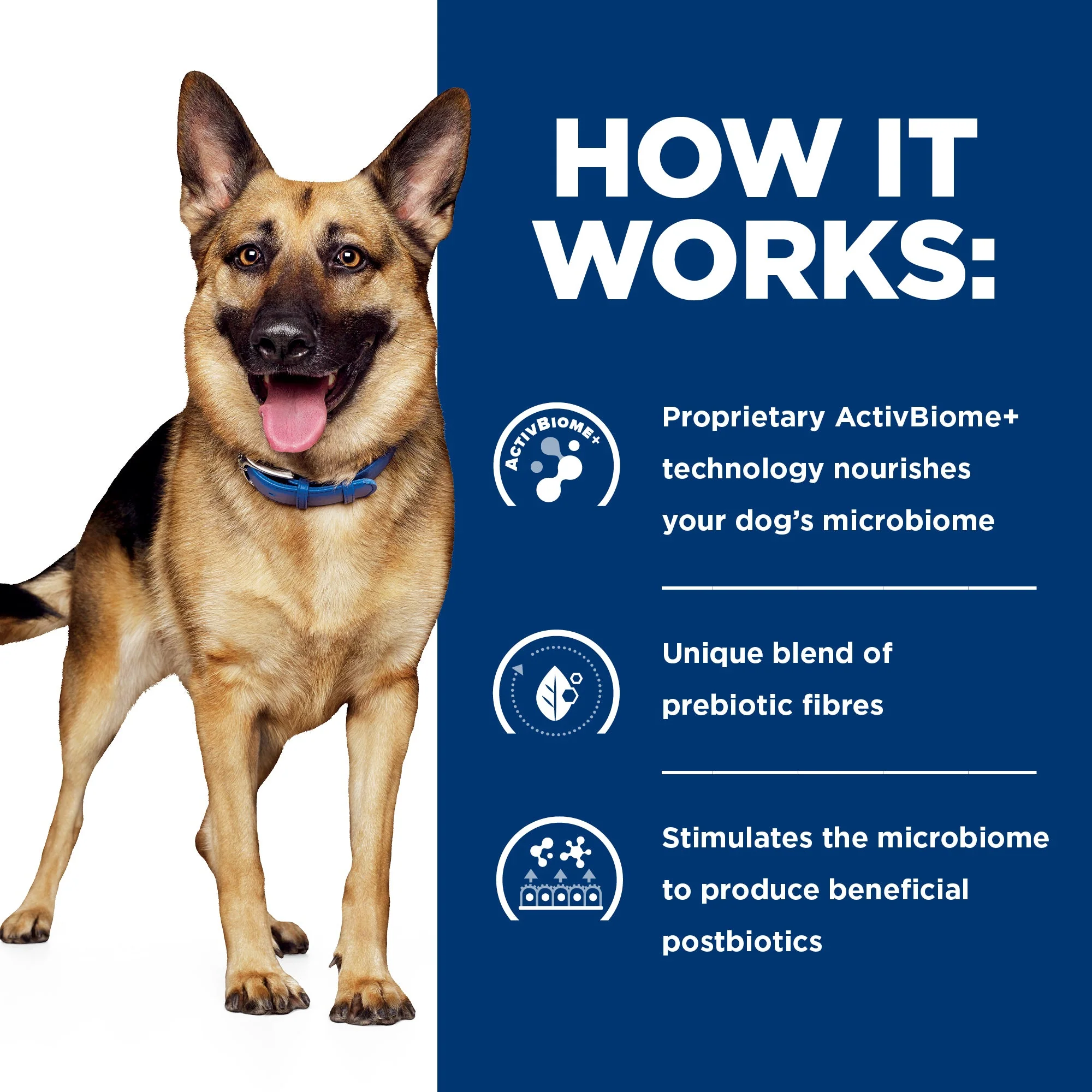 Hills Prescription Diet Dog Gastrointestinal Biome Digestive/Fibre Care Dry Food 3.6kg - Image 4