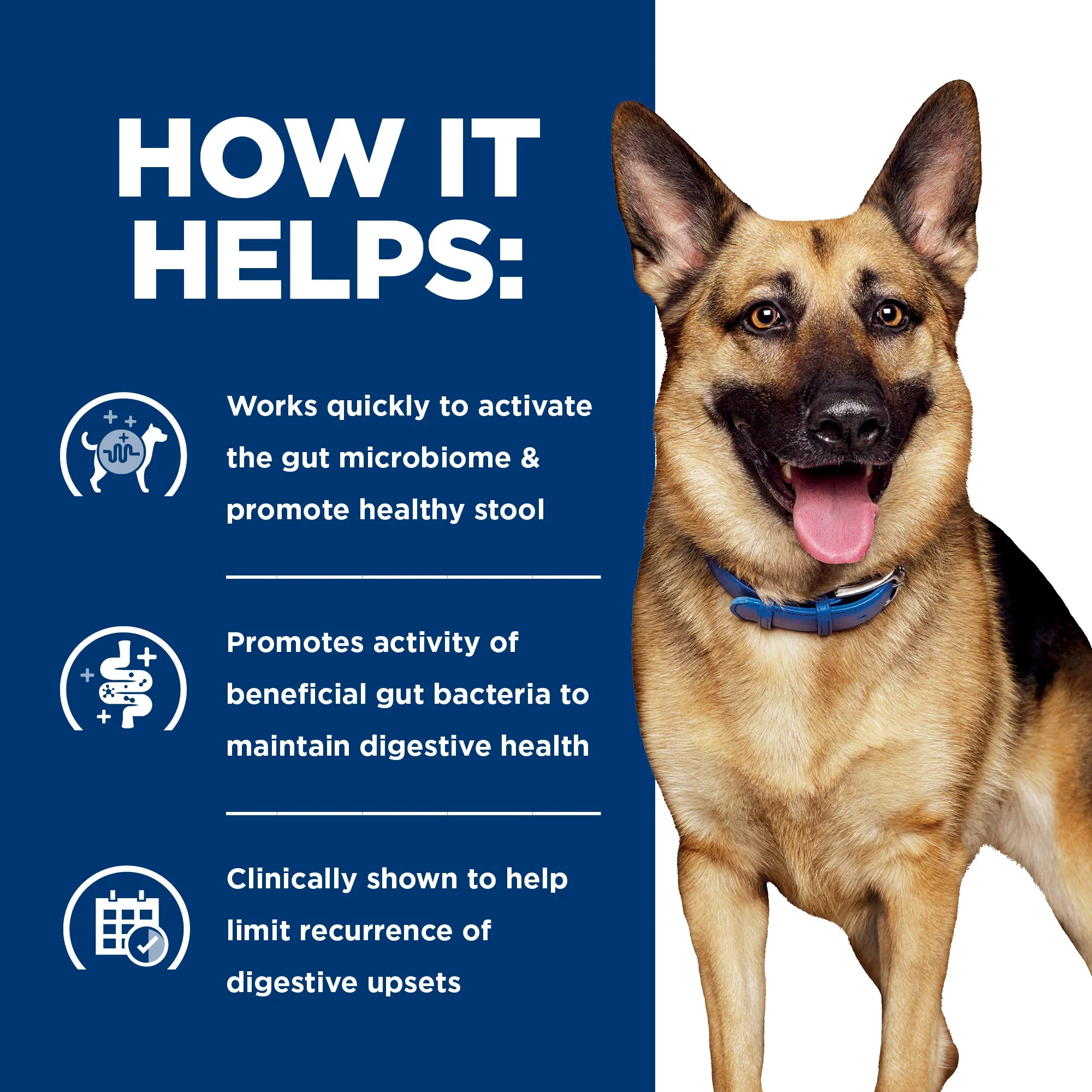 Hills Prescription Diet Dog Gastrointestinal Biome Digestive/Fibre Care Dry Food 3.6kg - Image 5