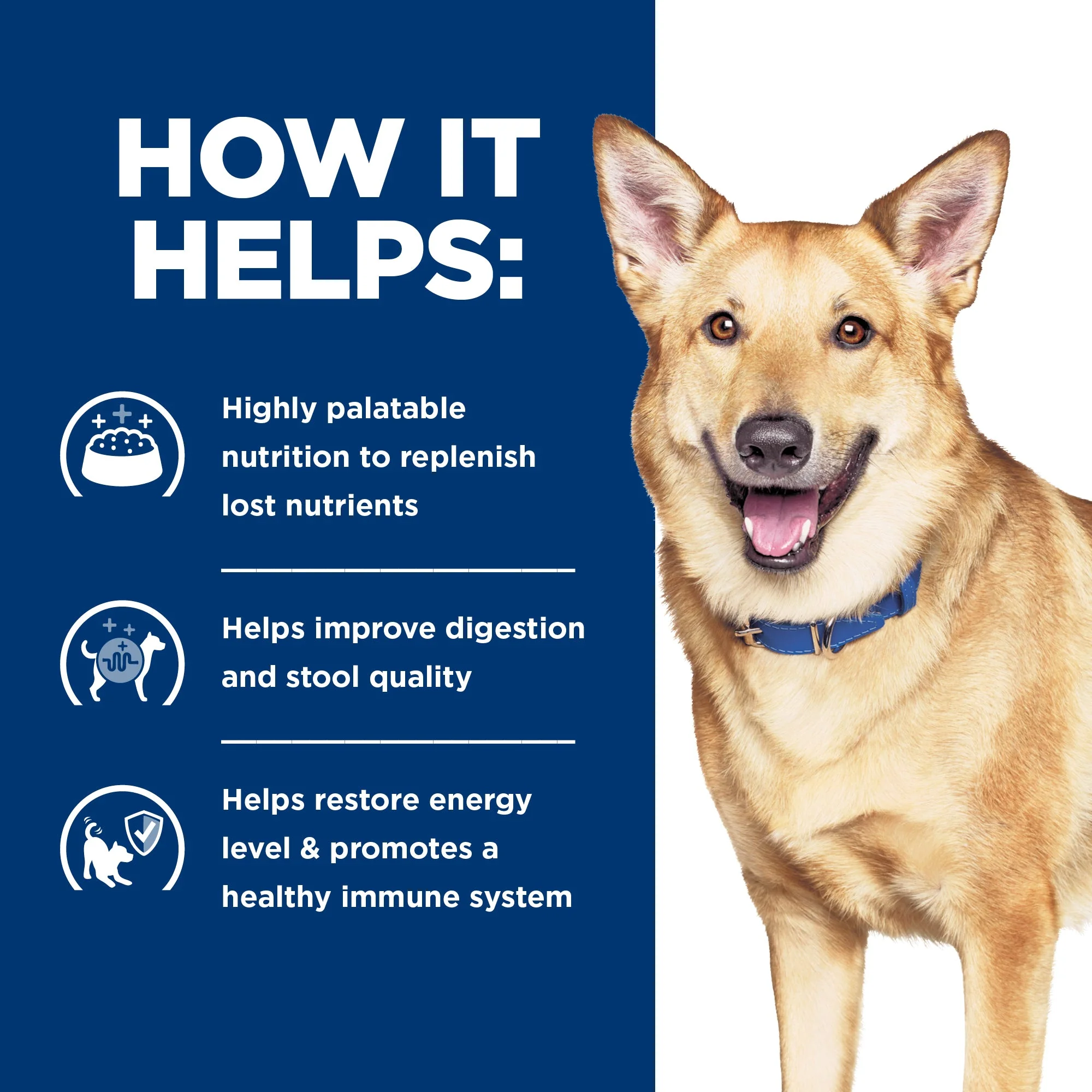 Hills Prescription Diet Dog i/d Digestive Care Chicken and Vegetable Stew Wet Food 156g x 24 - Image 6