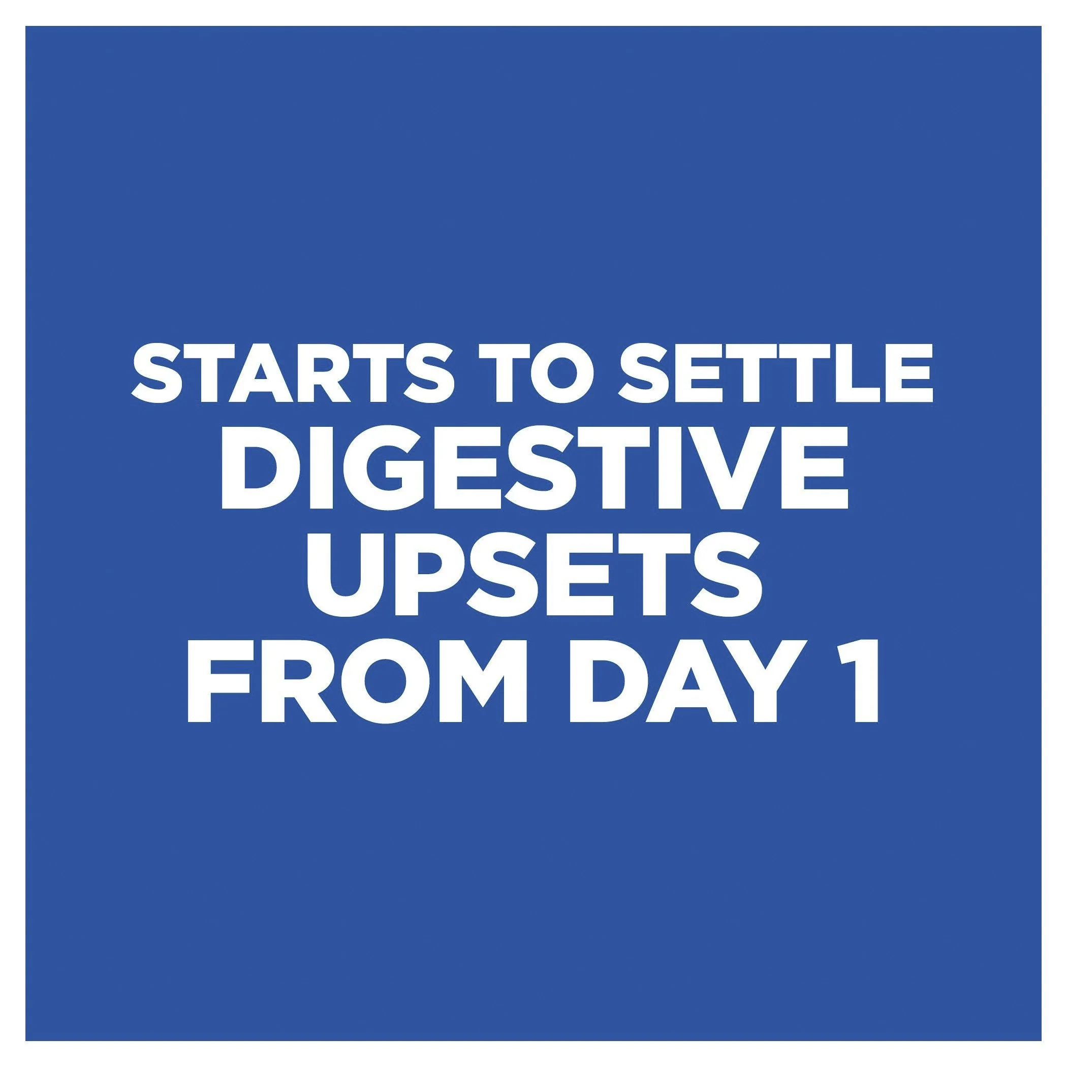 Hills Prescription Diet Dog i/d Digestive Care Turkey Wet Food 360g x 12 - Image 5